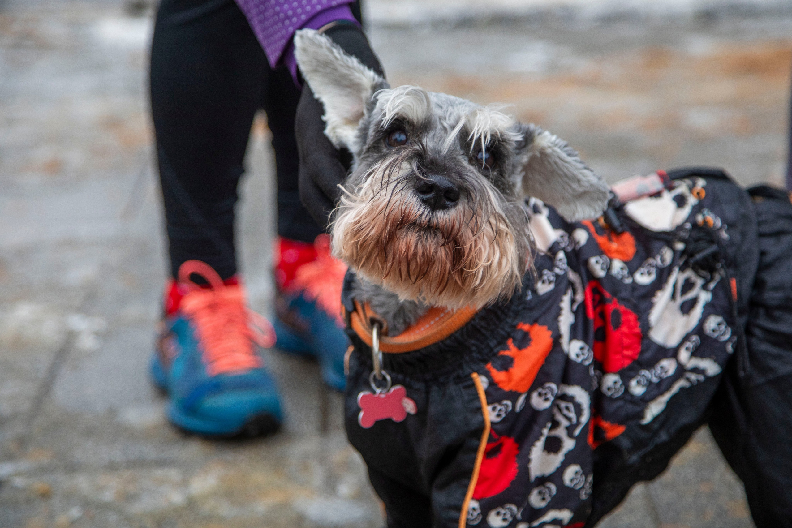 5 вёрст Митино, 9 лет, 28 октября 2023 г. Фотограф Сергей Ловкий