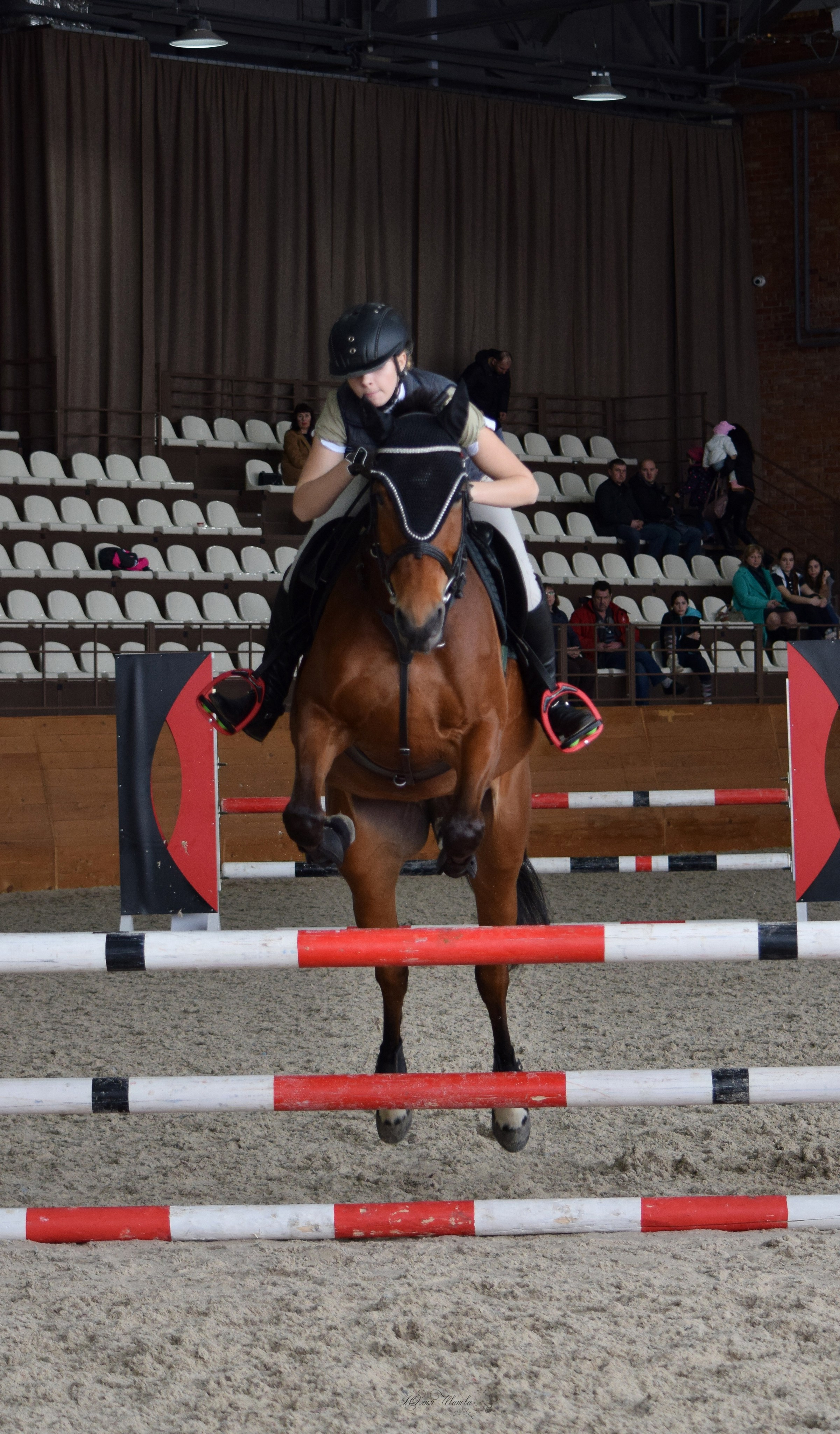 Конкур Гермес. Конный фотограф в Саратове Юлия Иванова
