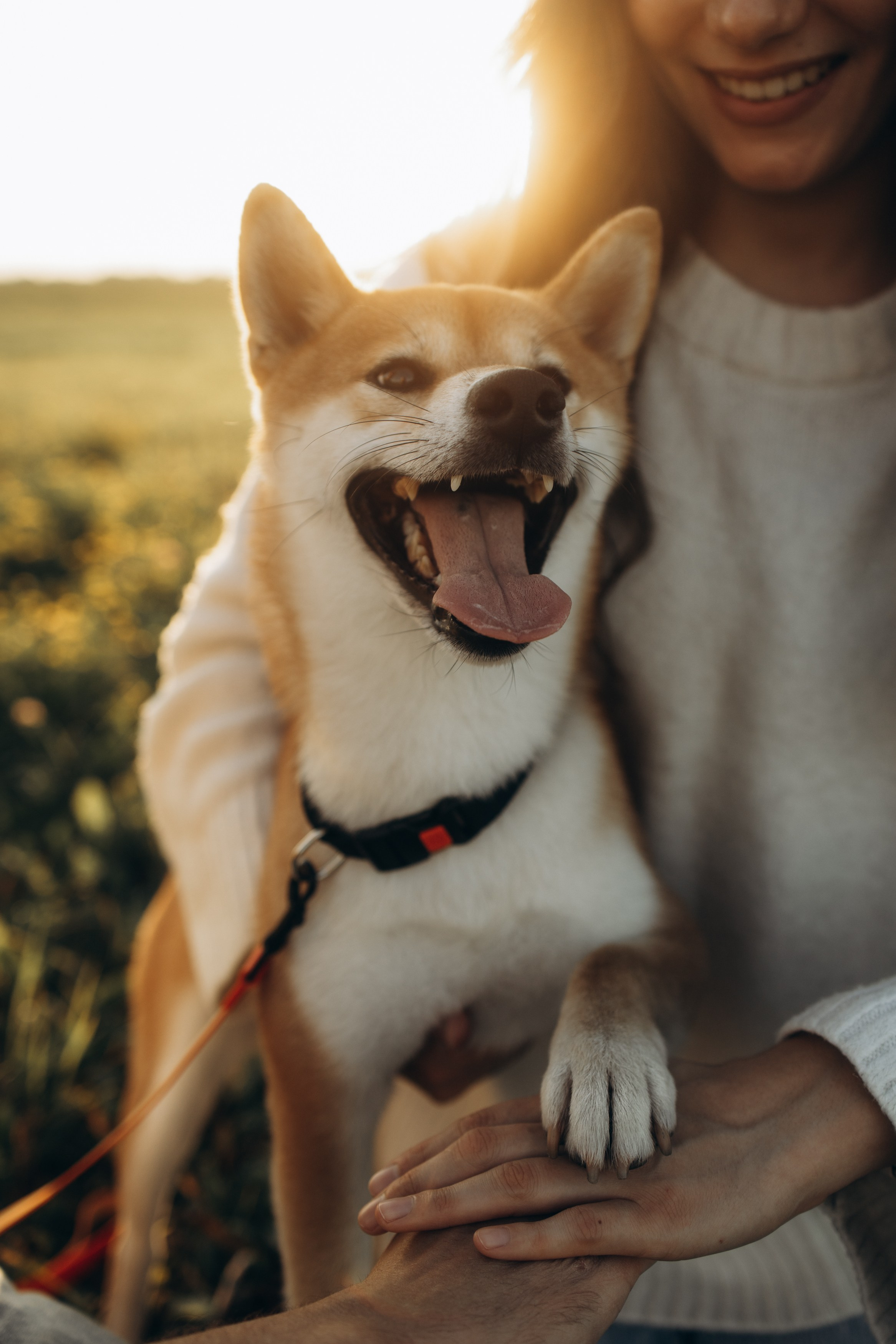 пушкин, павловск, спб, семейная фотосессия, семейная съёмка, лав стори, фотосессия на природе, фотосессия на улице