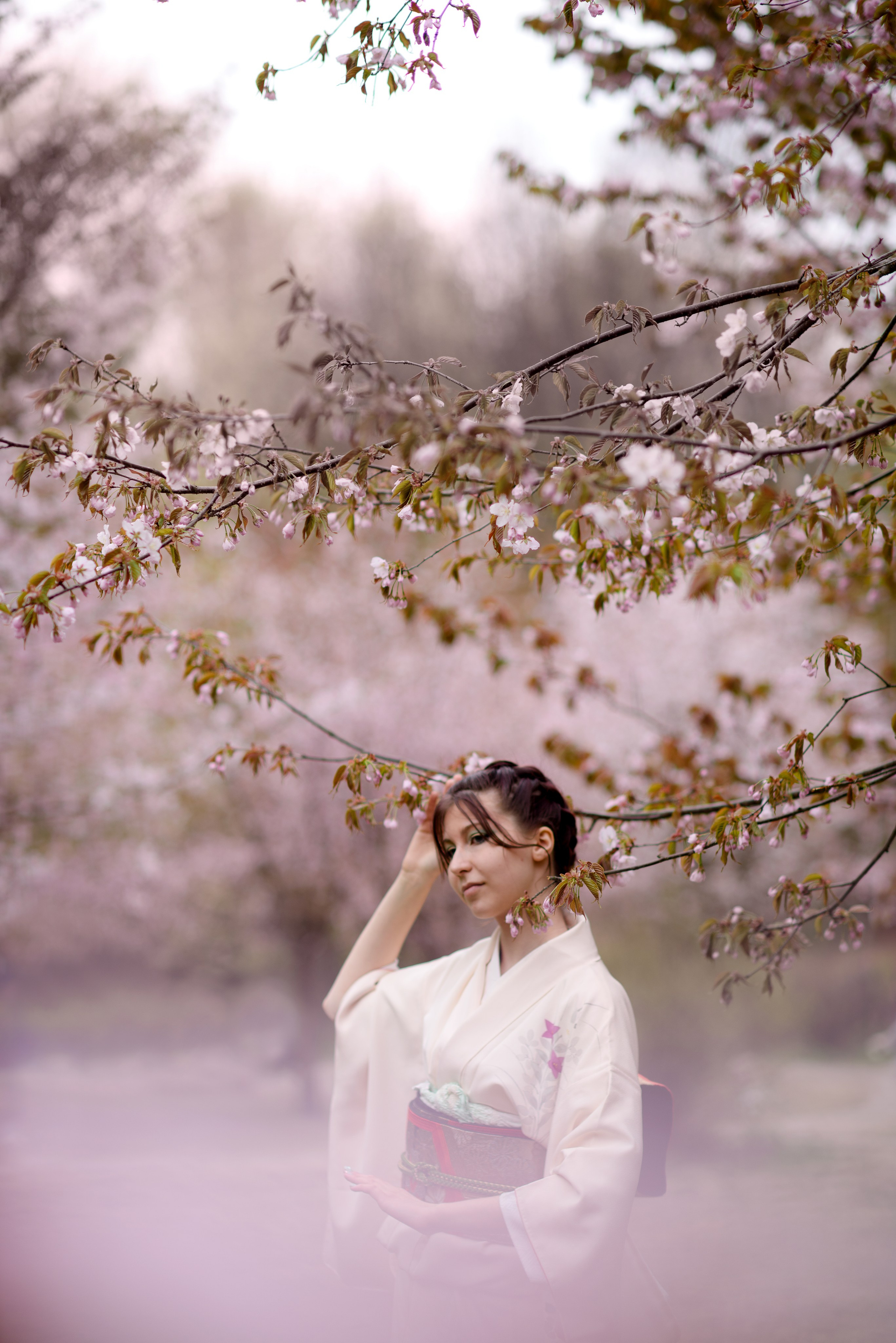 Любование сакурой в Бирюлевском дендропарке. Главная