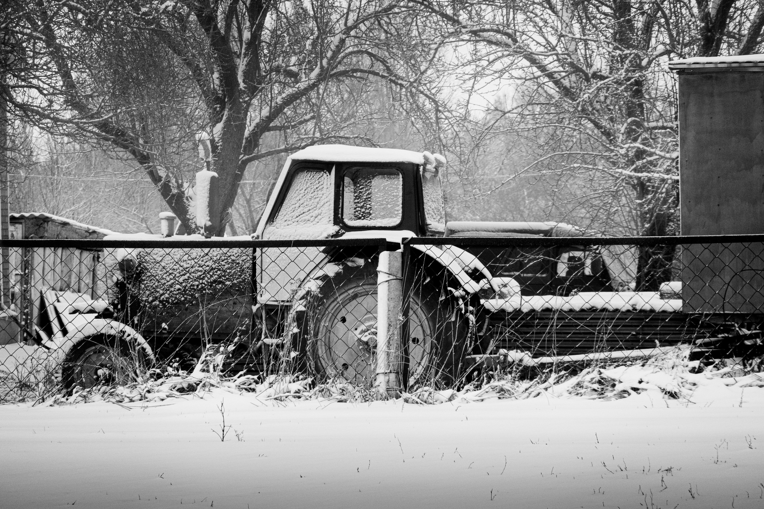 Ферма. Фотограф Антон Денисенко: Портрет, Документалистика, Пейзаж. Москва