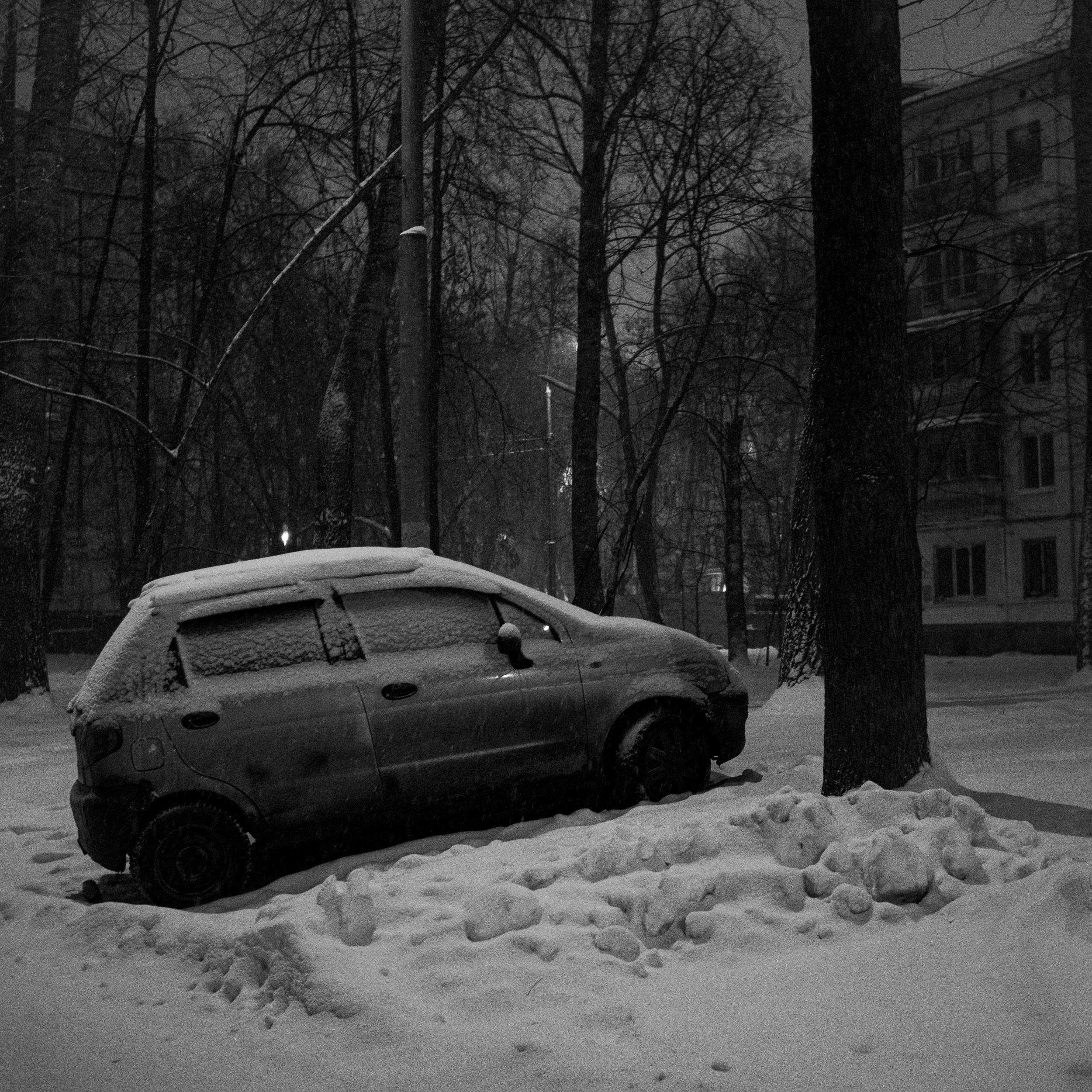 Моменты. Photographer Pavel Romashchenko