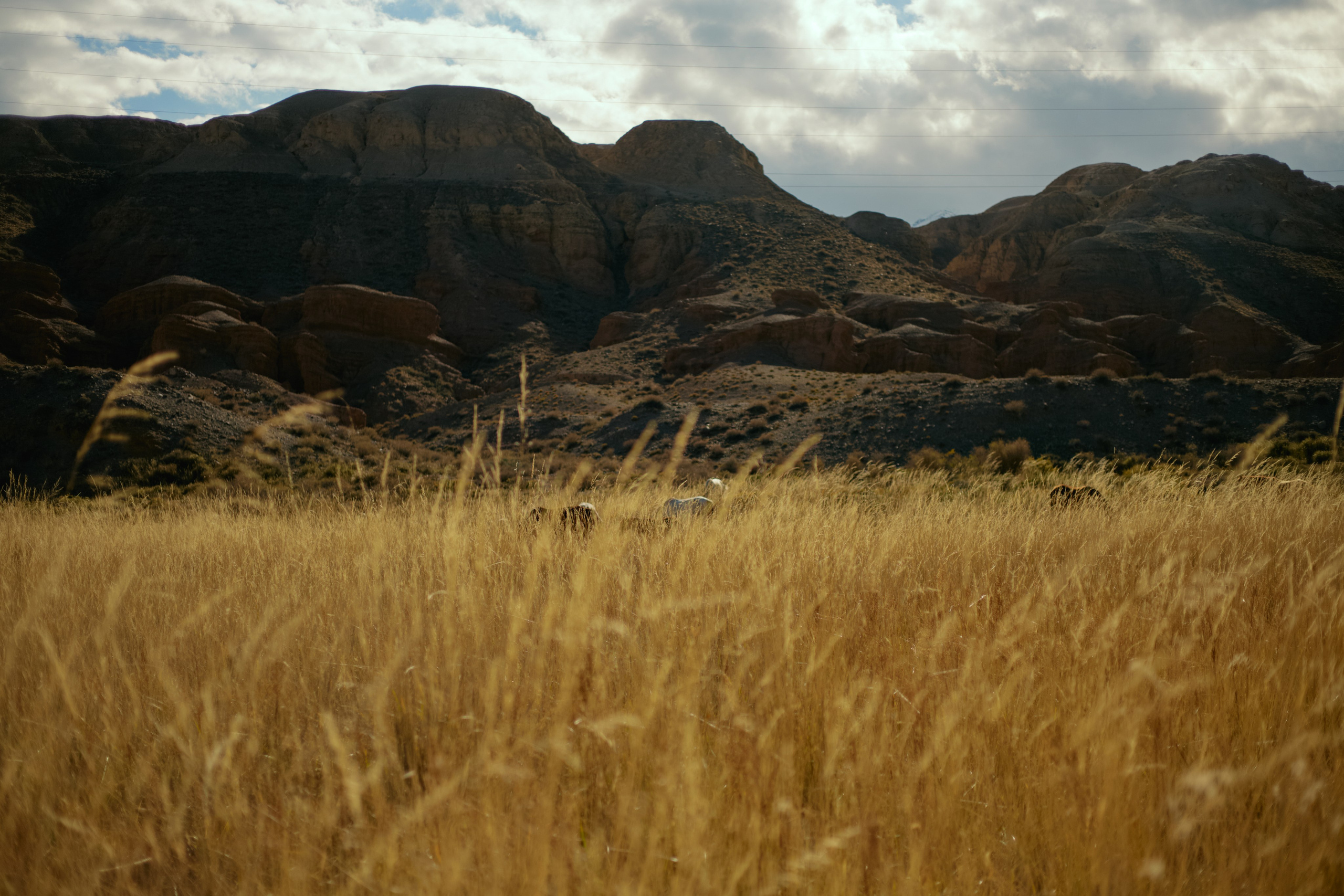 Кыргызтан. Профессиональный Фотограф во Владимире, в Москве и в Суздале — Полина Романычева