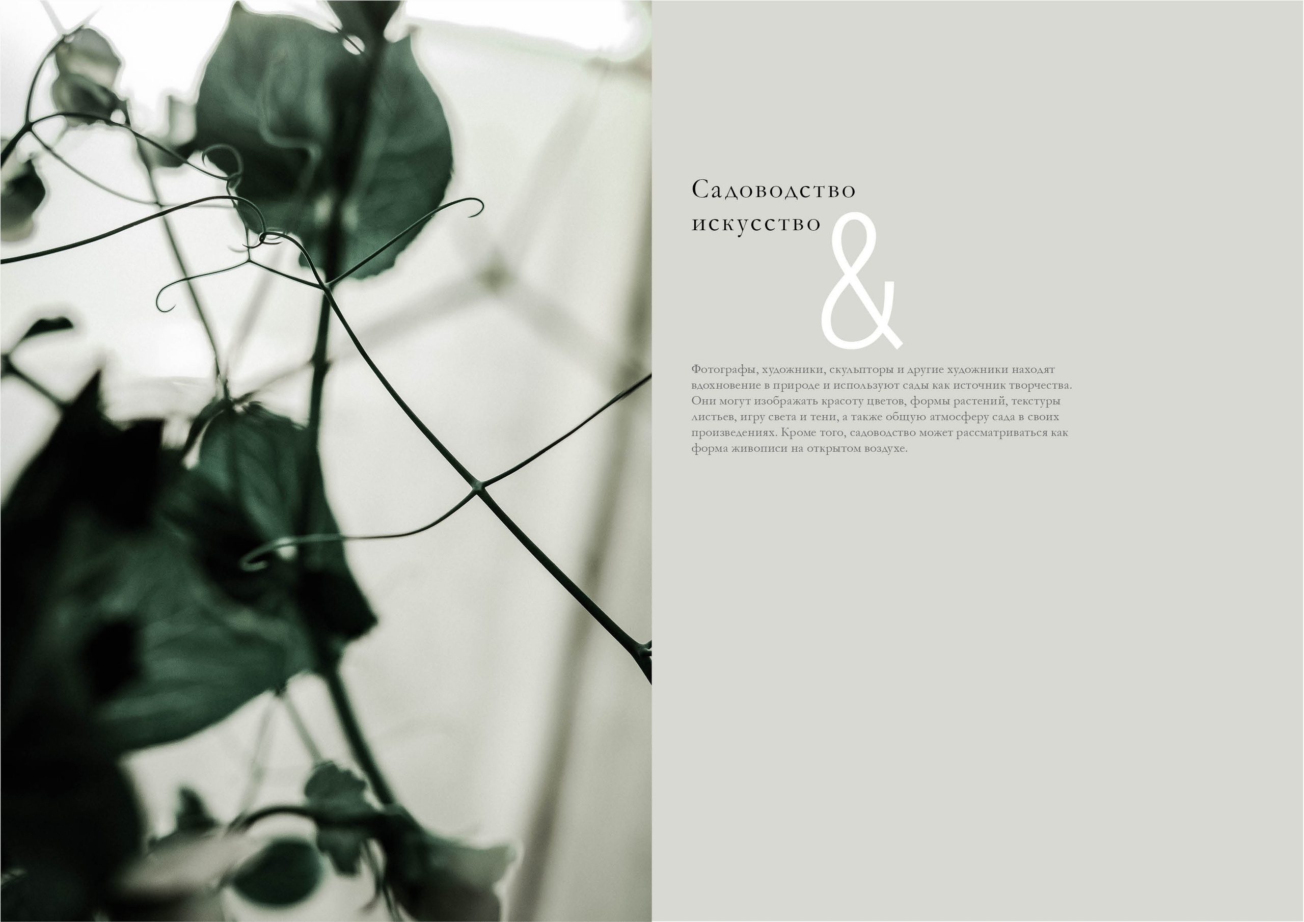 Курс «Психология на грядке». АRТ&PSY | Искусство психологии