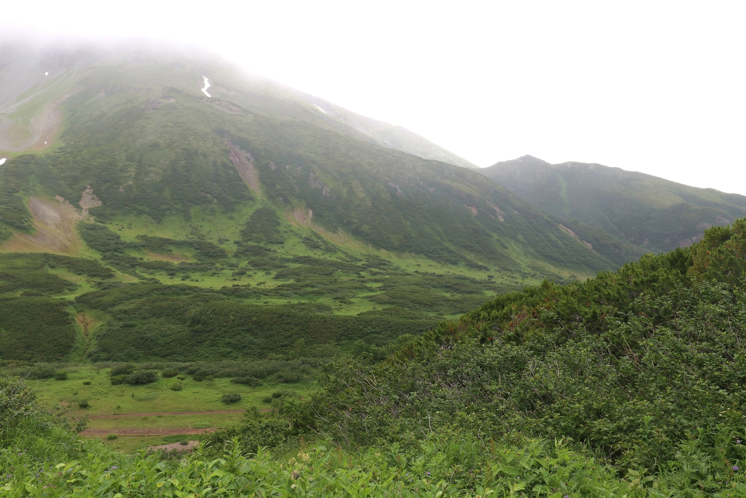 Камчатка и о. Парамушир. Июль 2024. Путешественник-фотограф из Санкт-Петербурга Татьяна Свистулина