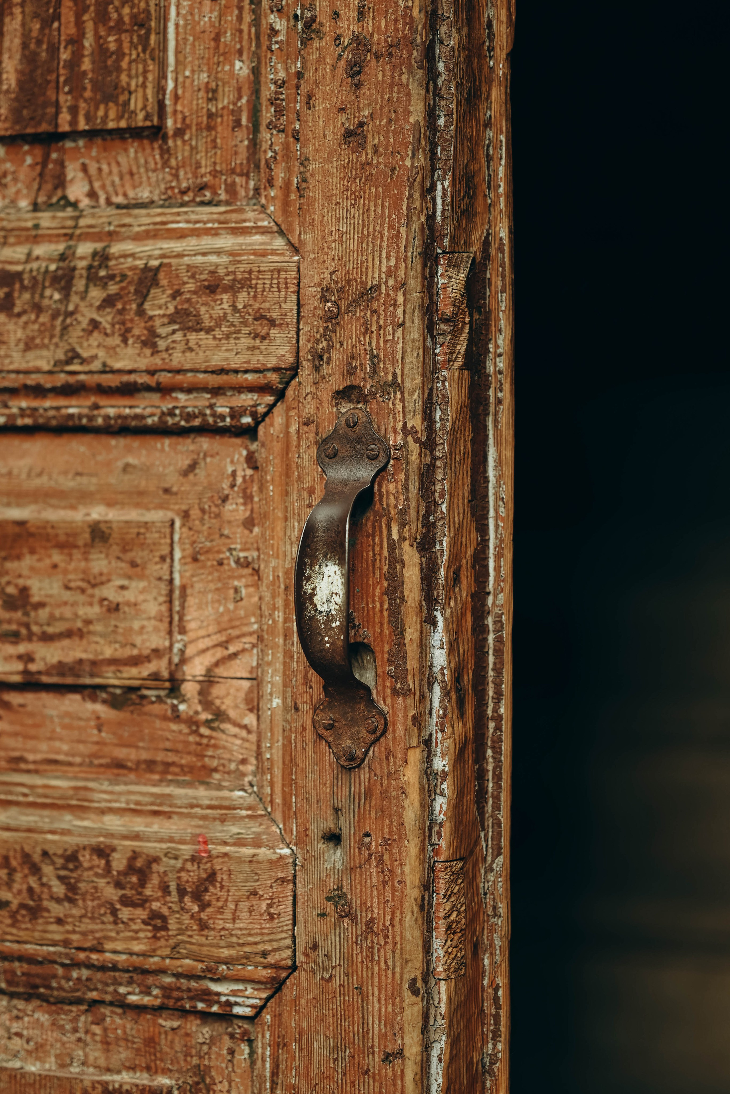 Прогулка Воронеж. Семейный фотограф в Москве Люберцах Ирина Вронская