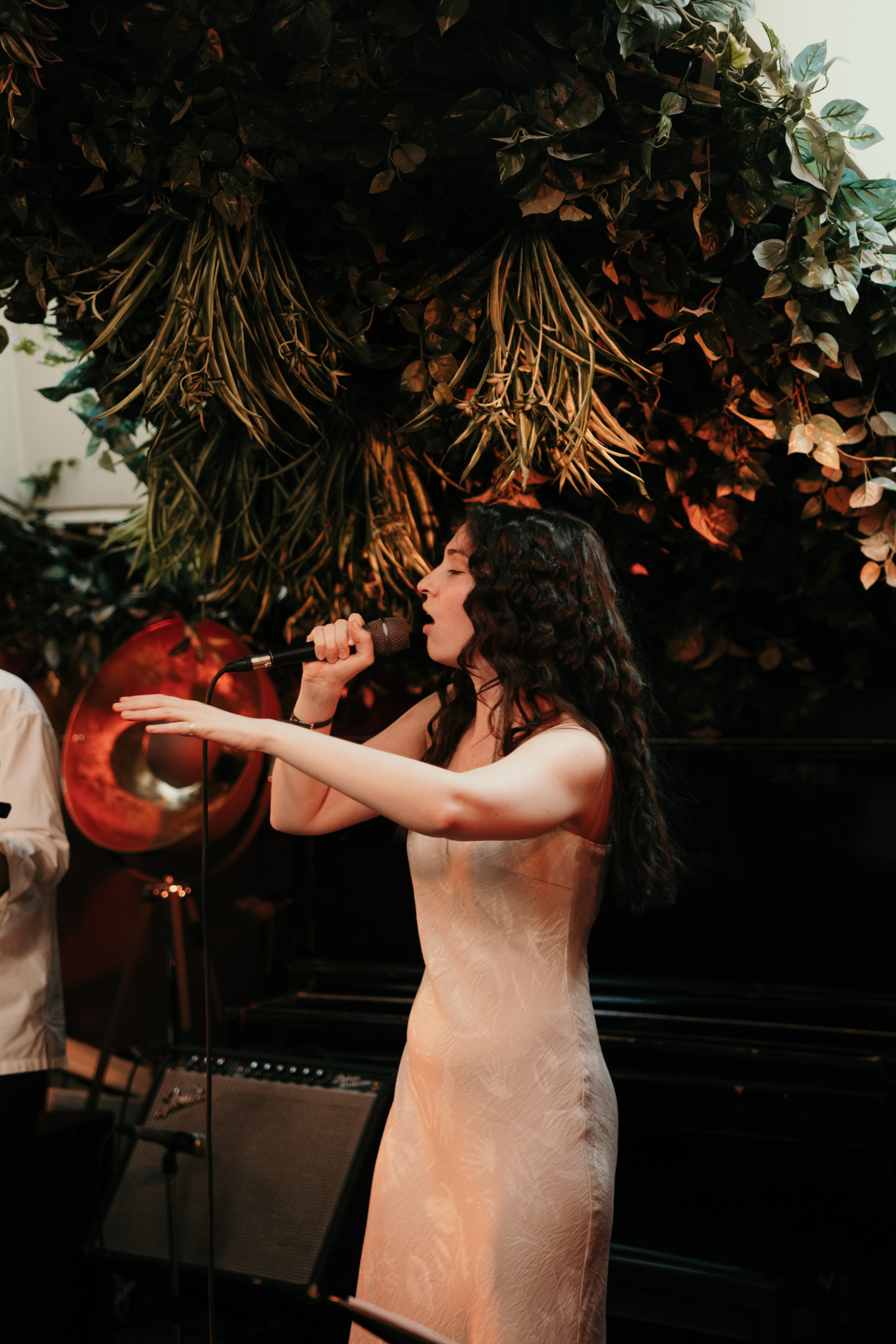 Джазовый вечер. Фотограф и видеограф Мария Банщикова, Солнечногорск, Москва