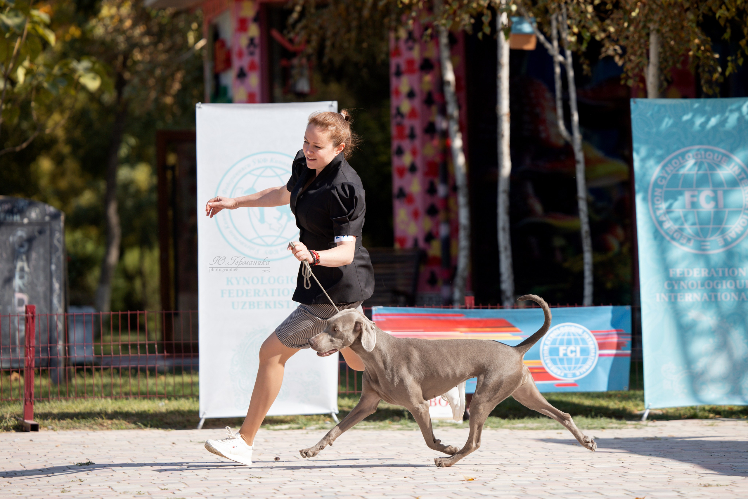 Ташкент 3хCACIB 3-5.10.2025. Фотограф-анималист Юлия Германика