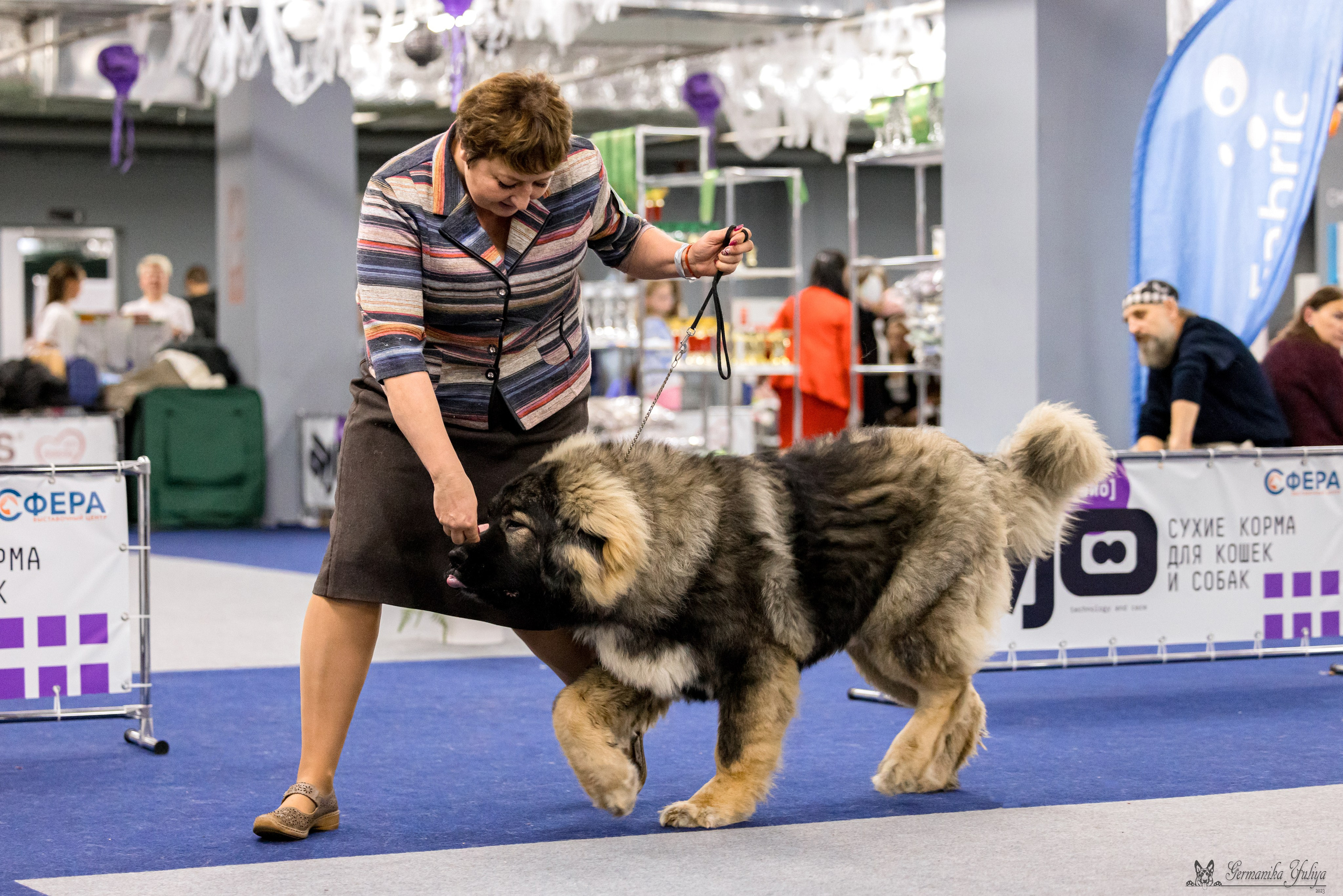 Сфера 29.10,Крокус 4.11,Сфера 12.11.2023. Фотограф-анималист Юлия Германика