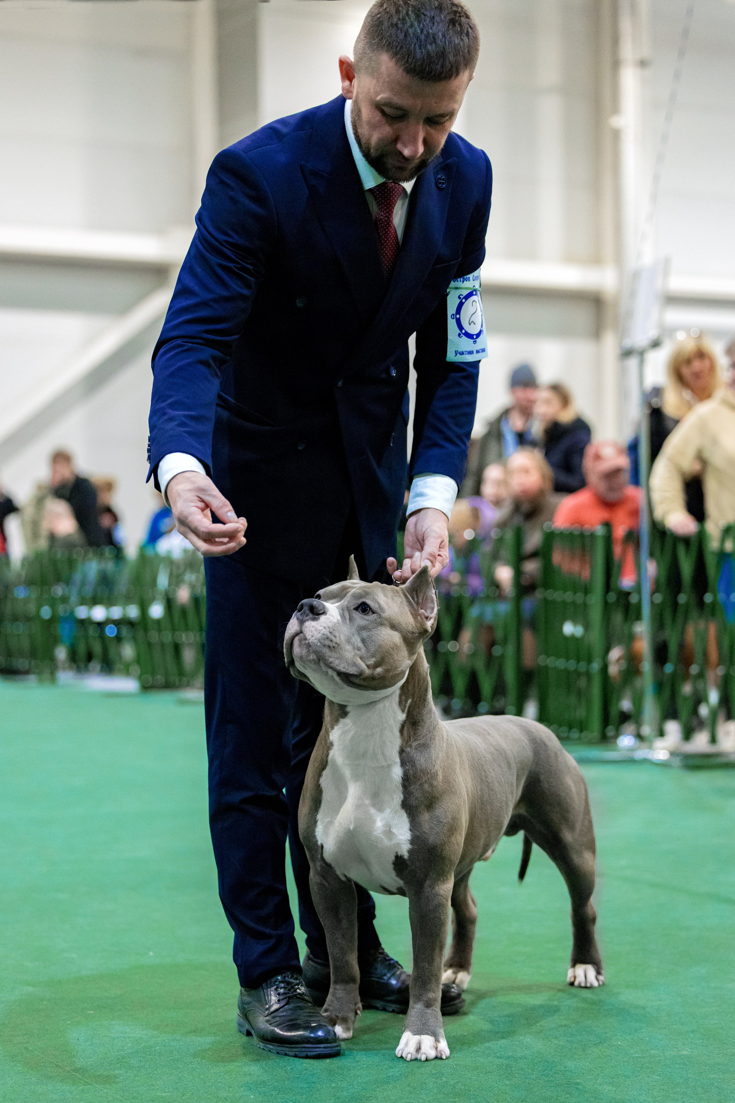 Крокус 3,9 и 10.12.2023. Фотограф-анималист Юлия Германика