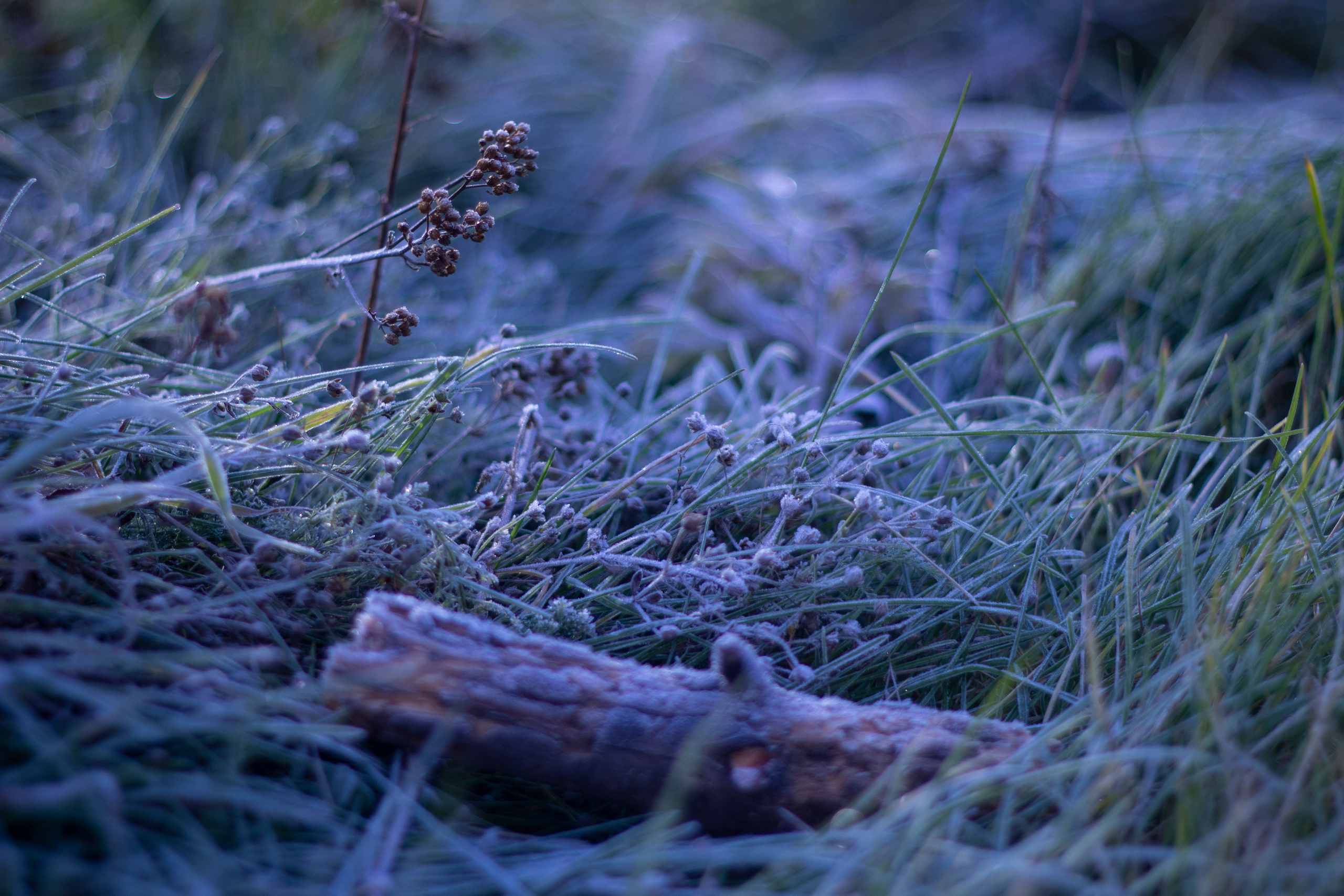 Осень. Ваш фотограф Северск | Томск
