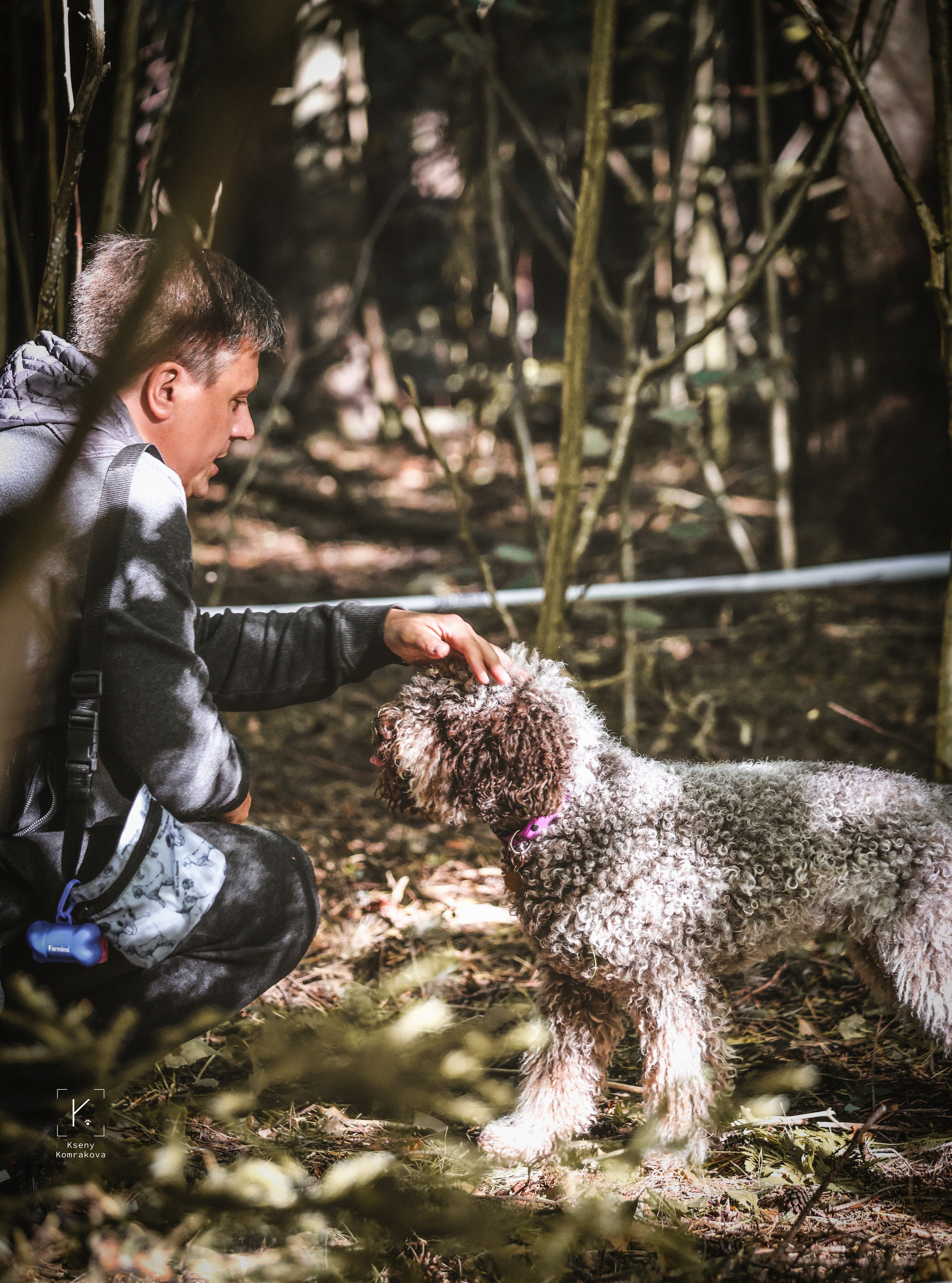 Съемка собак. Анималистика. Репортаж. Индивидуальная съемка