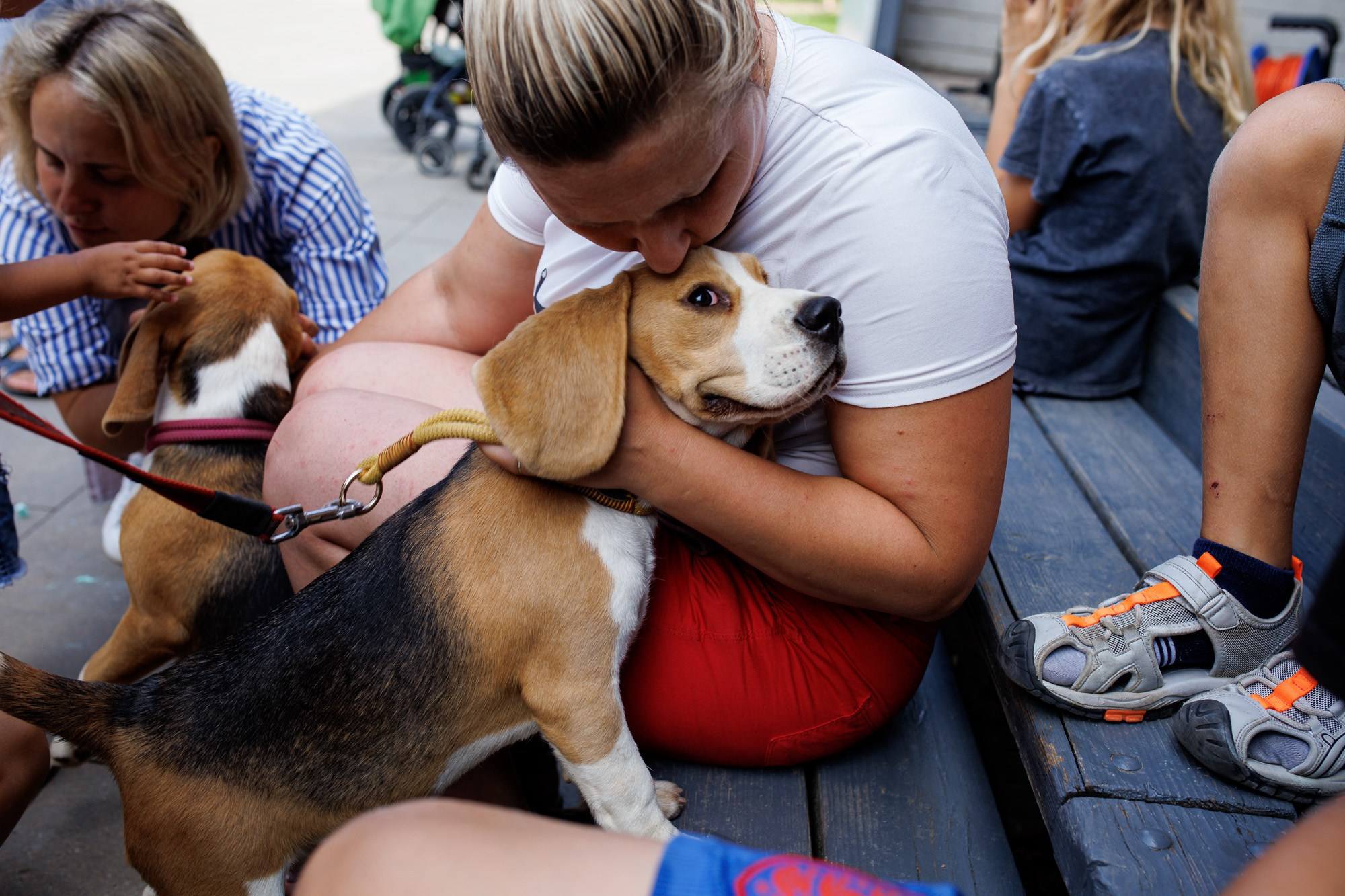 Соловьиное лето 2024. Спортивный фотограф Вадим Добедченков
