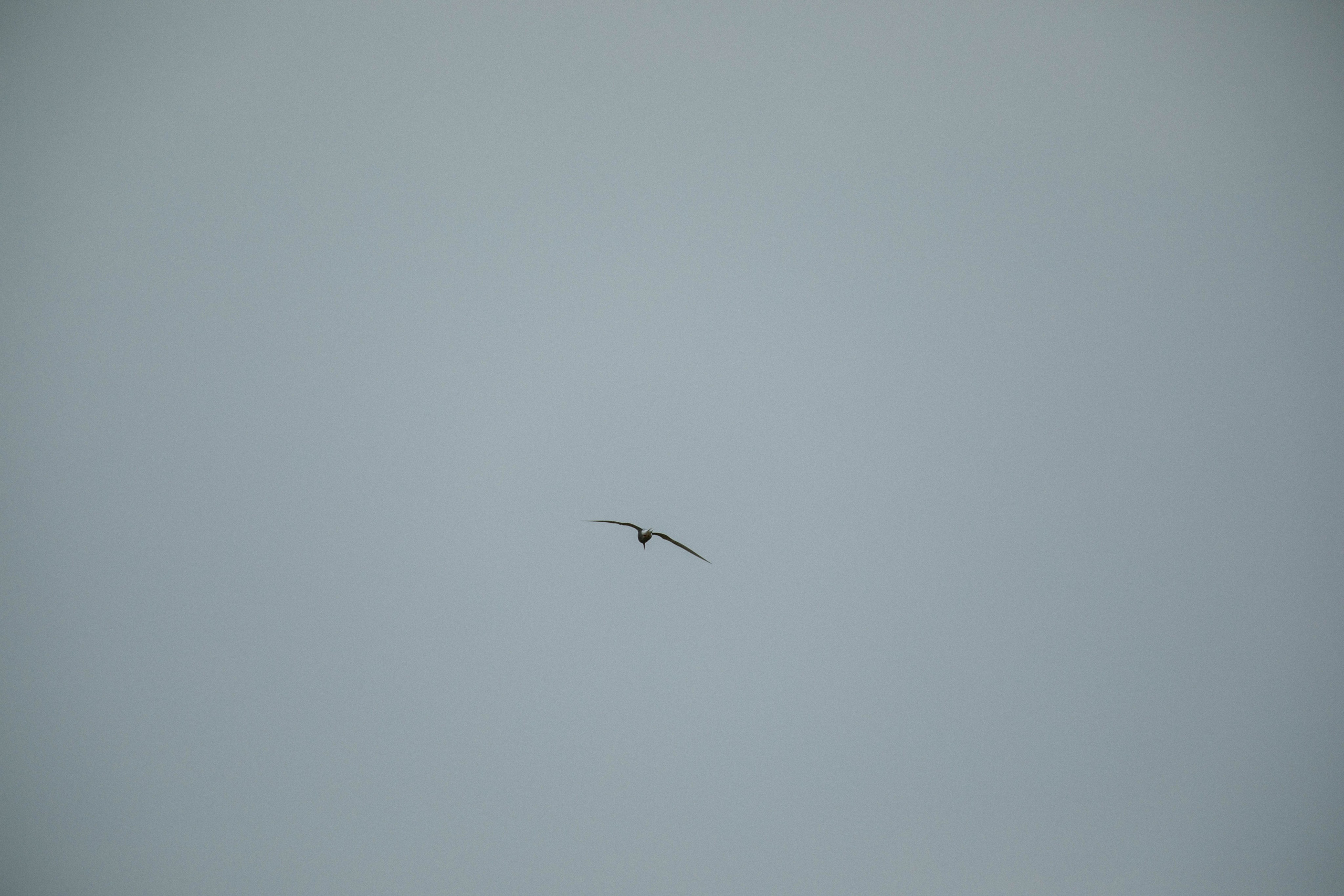 Кольский полуостров. Фотографирую для себя, своей семьи и друзей!