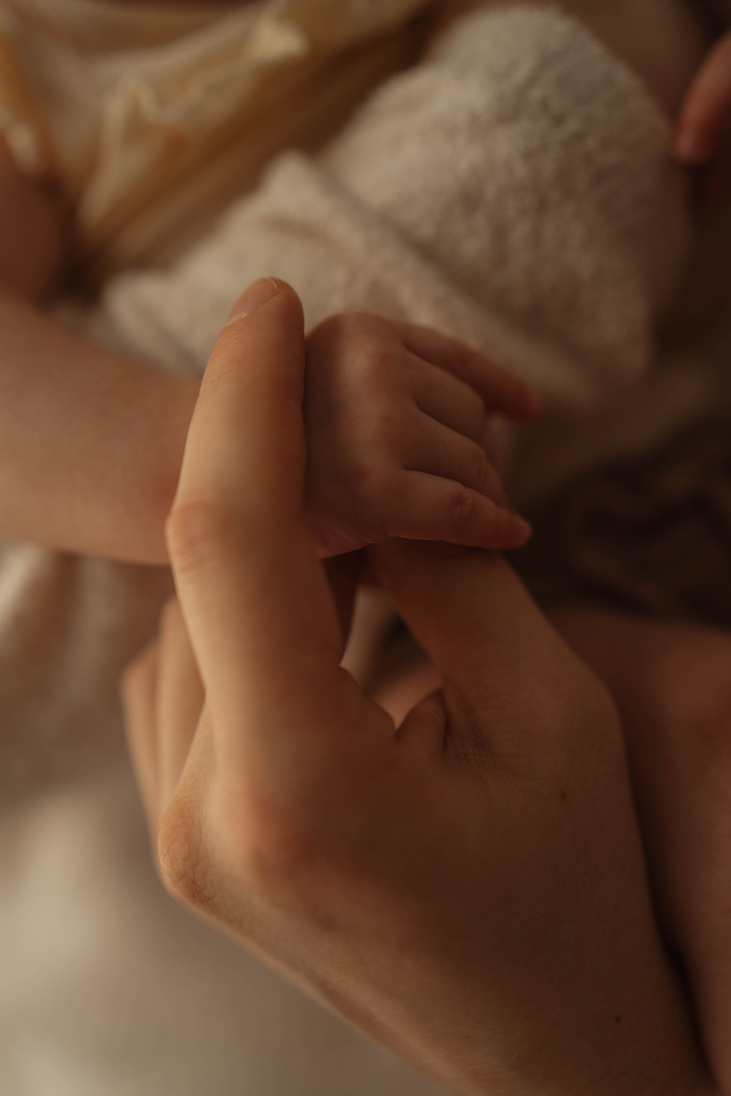 Анна, Кирилл и Кира. Фотограф в Новосибирске Диана Ильиных