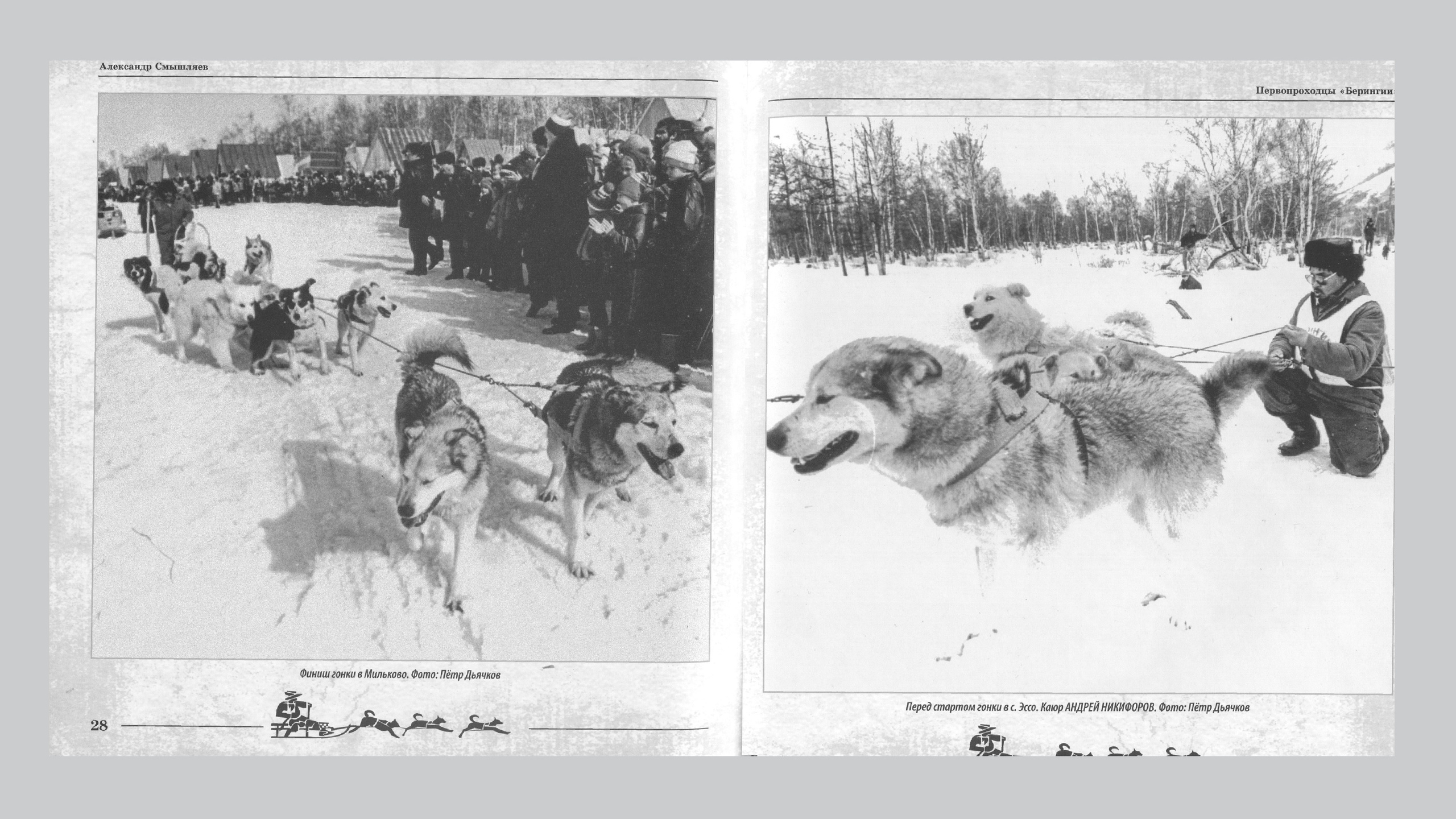 Первопроходцы «Берингии». Александр Смышляев. История гонок на собачьих упряжках «Берингия»