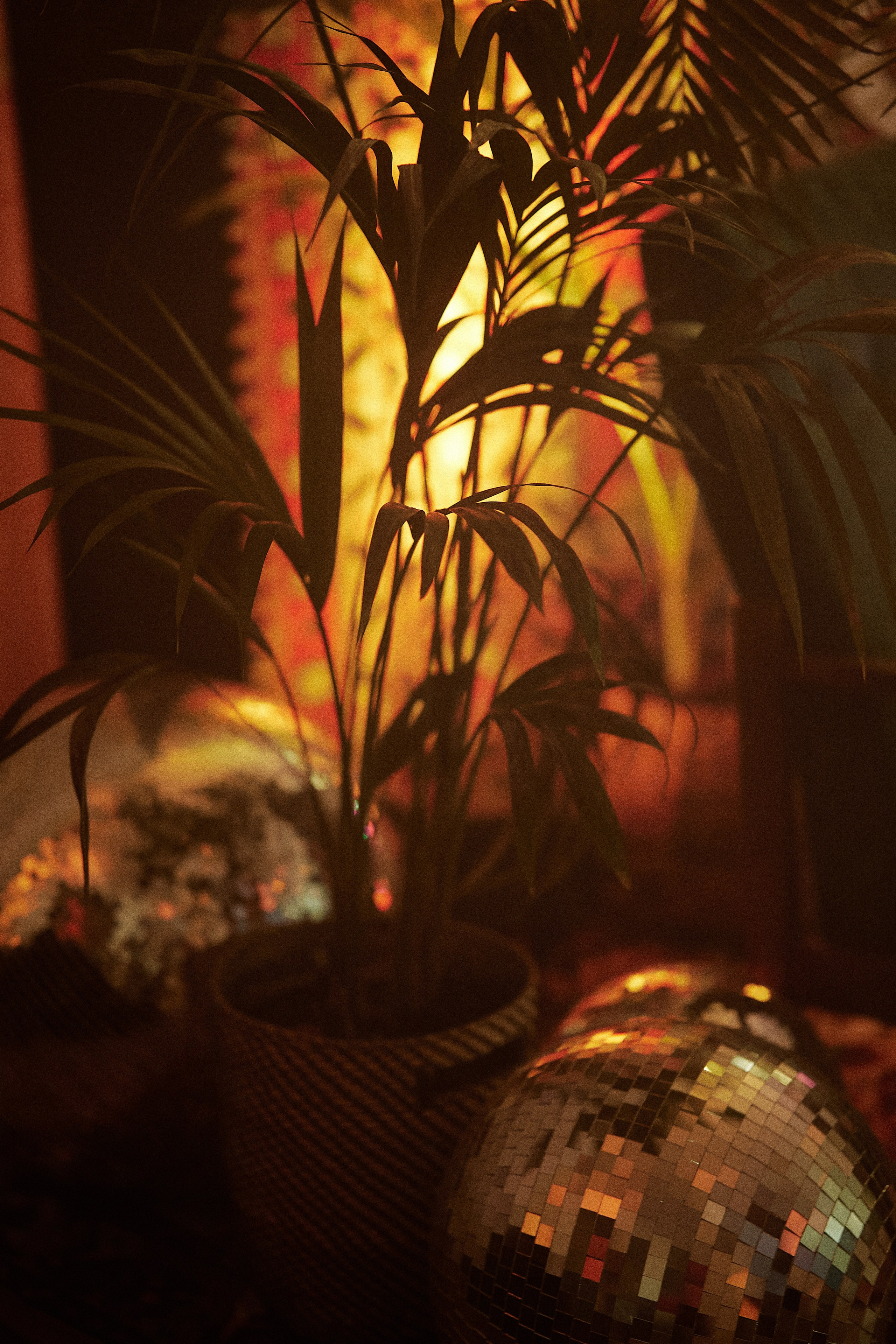 Новый год в СССР. Свадебный фотограф Минск РБ