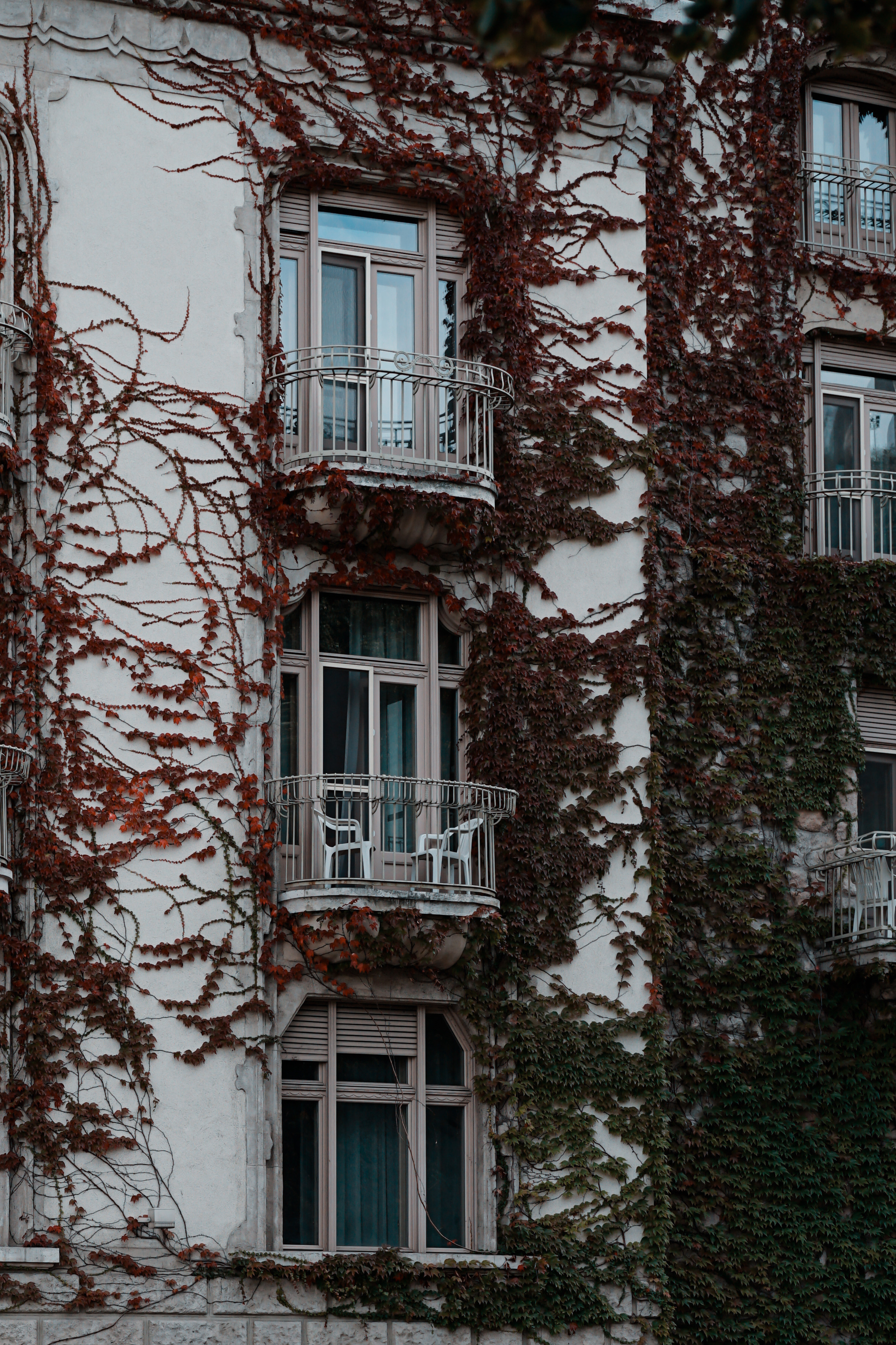 Hungary. Photograph and videograph in Israel