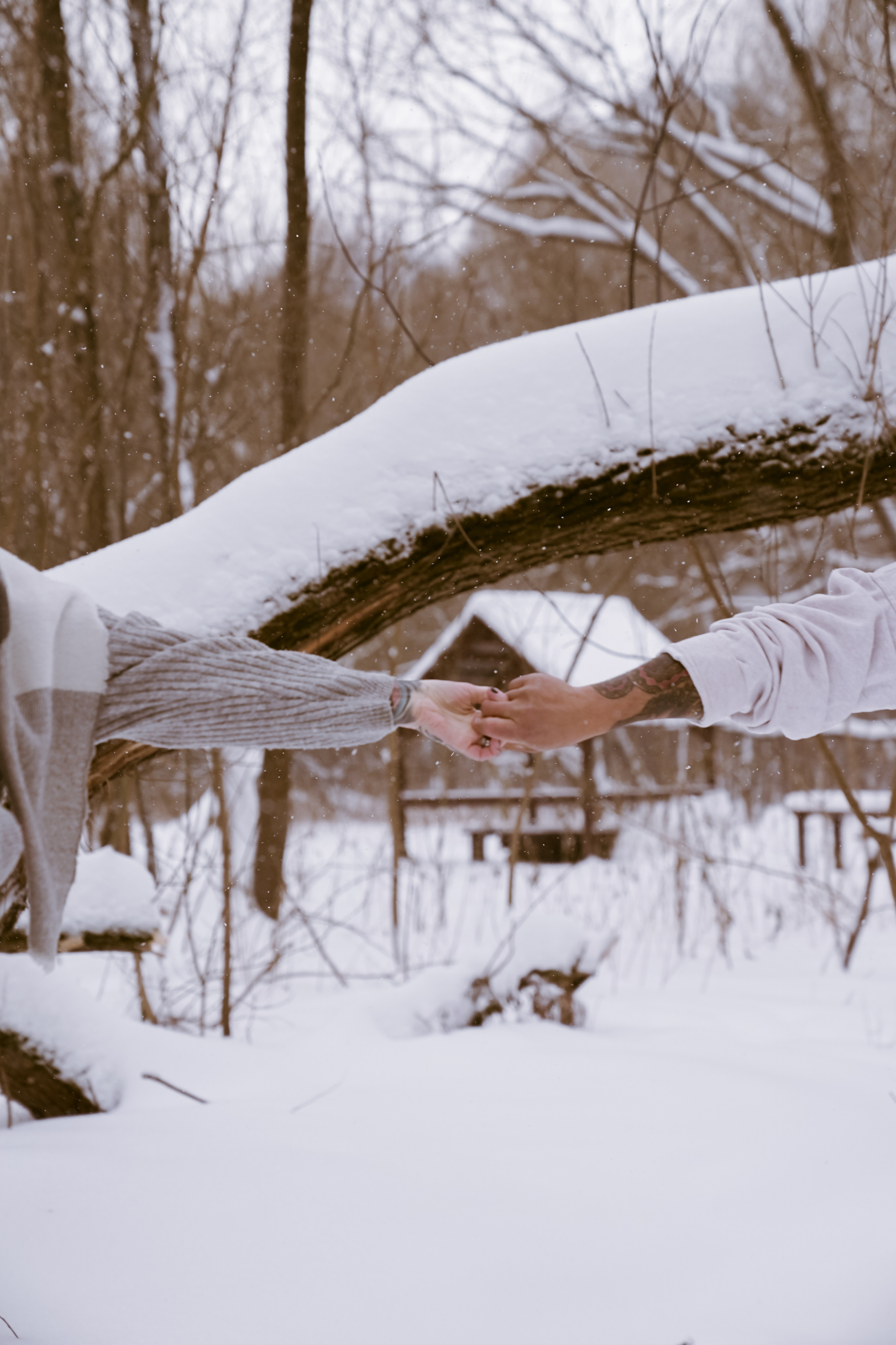Зимняя фотосессия. Фотограф и видеограф в Израиле Соня Скай