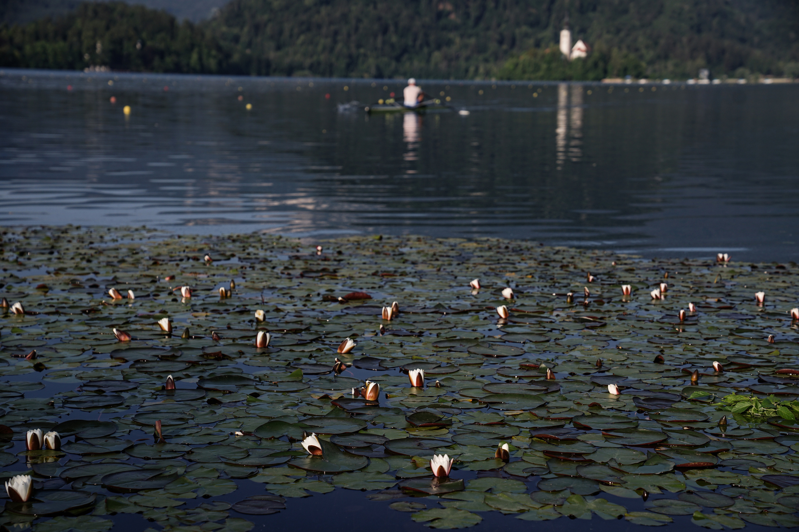 Slovenia. Фотограф и видеограф в Израиле Соня Скай