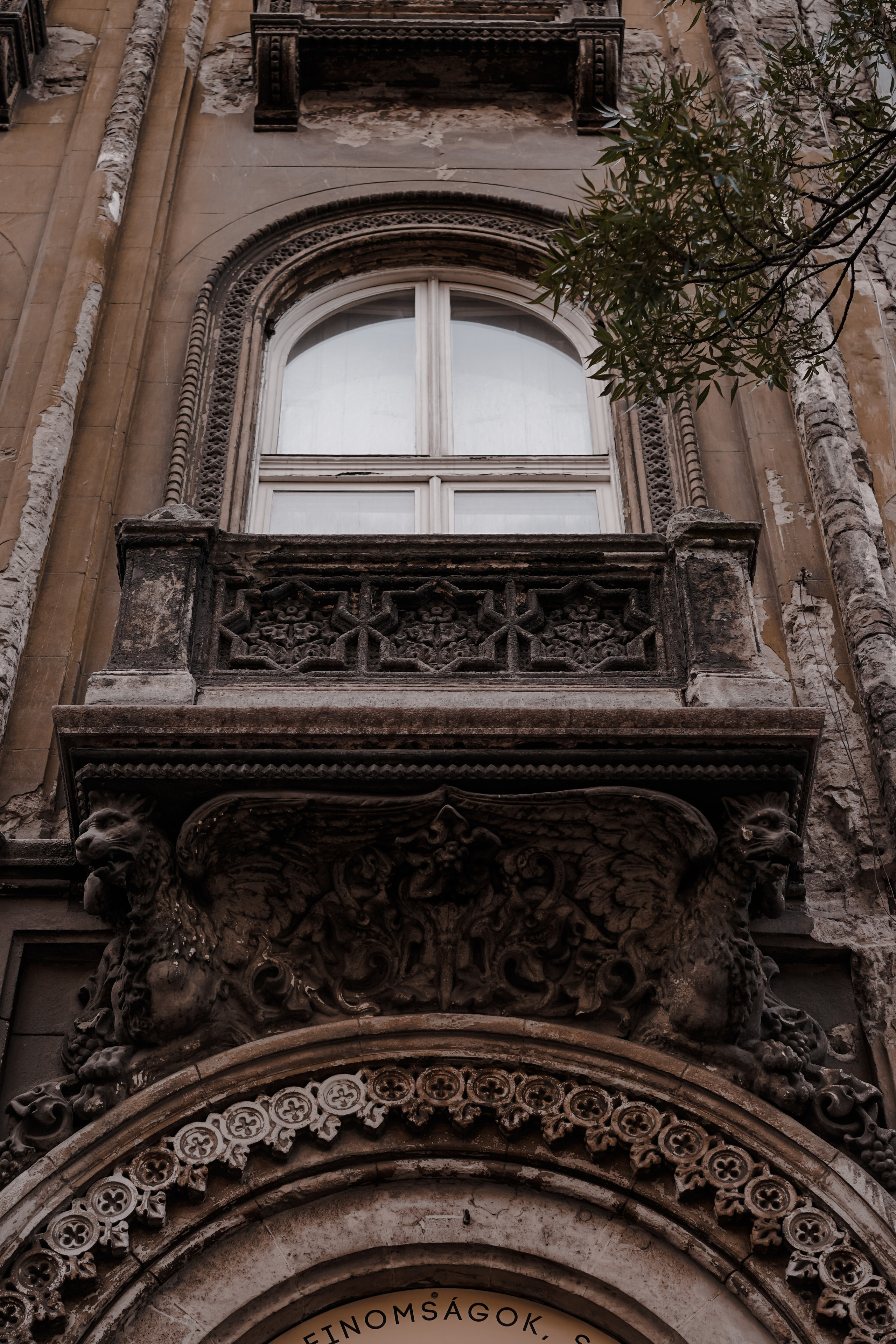 Hungary. Photograph and videograph in Israel