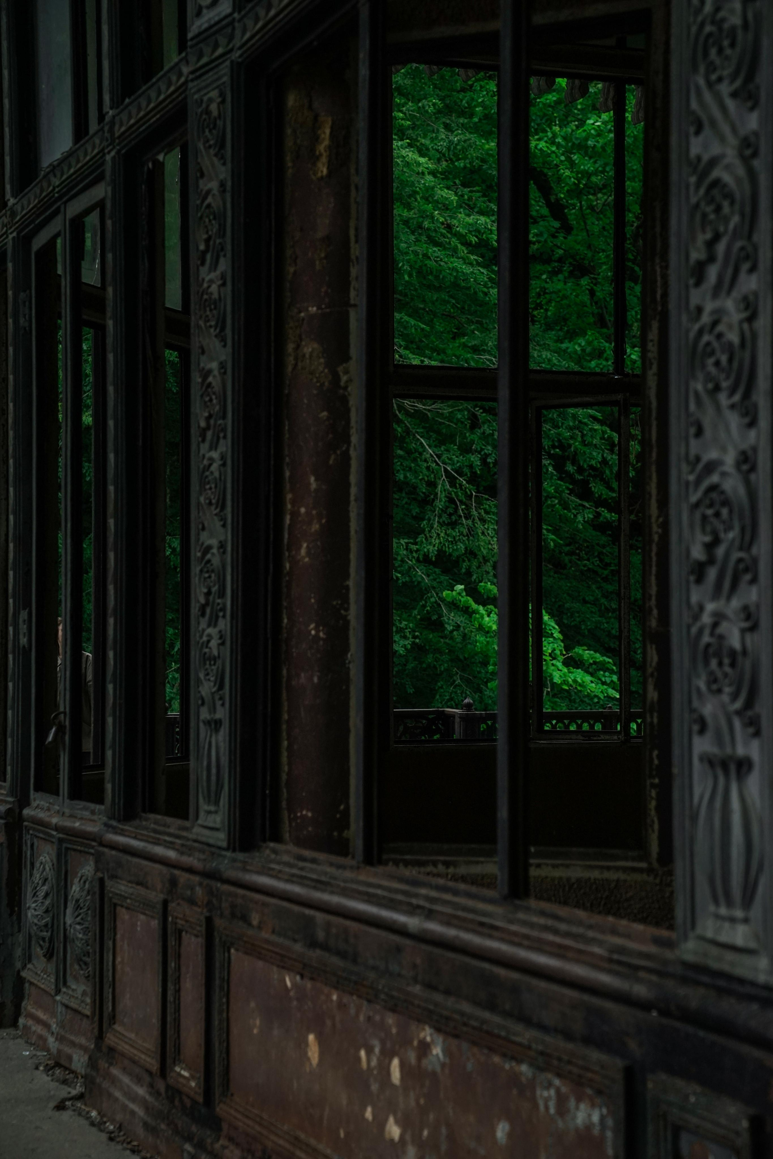 Abkhazia. Фотограф и видеограф в Израиле Соня Скай