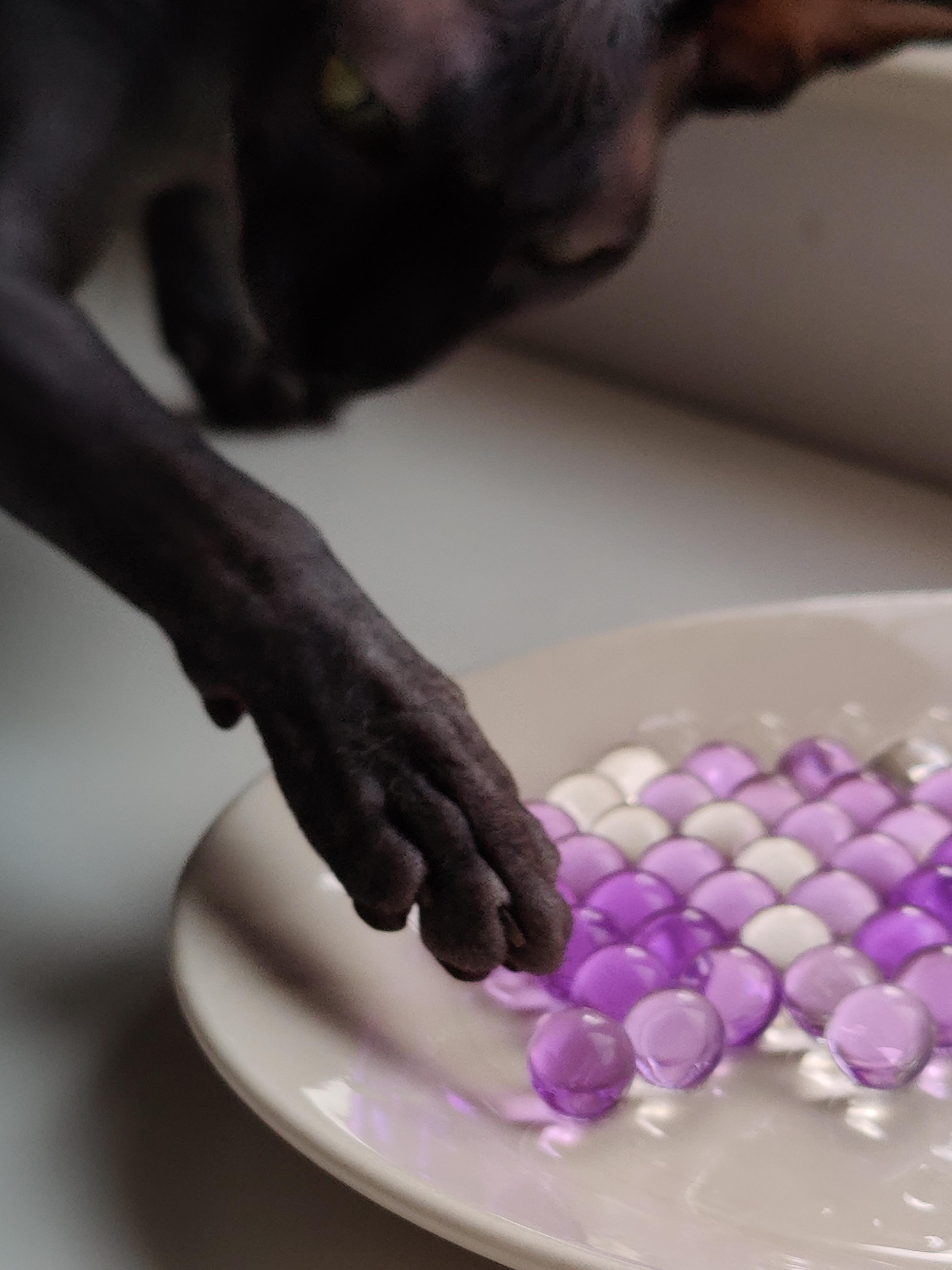 Контент фотограф. Фотограф и видеограф в Израиле Соня Скай