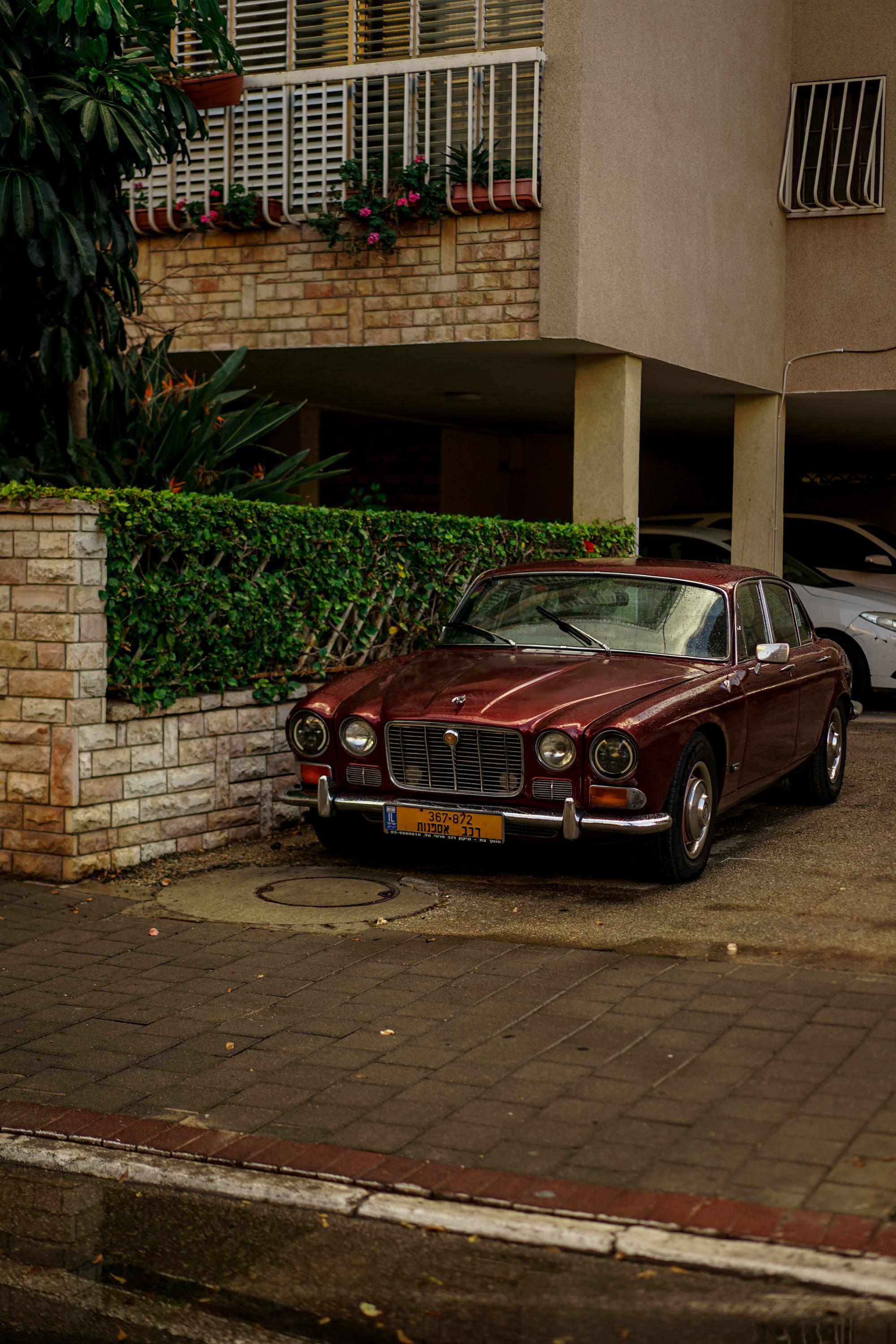 Israel. Photograph and videograph in Israel