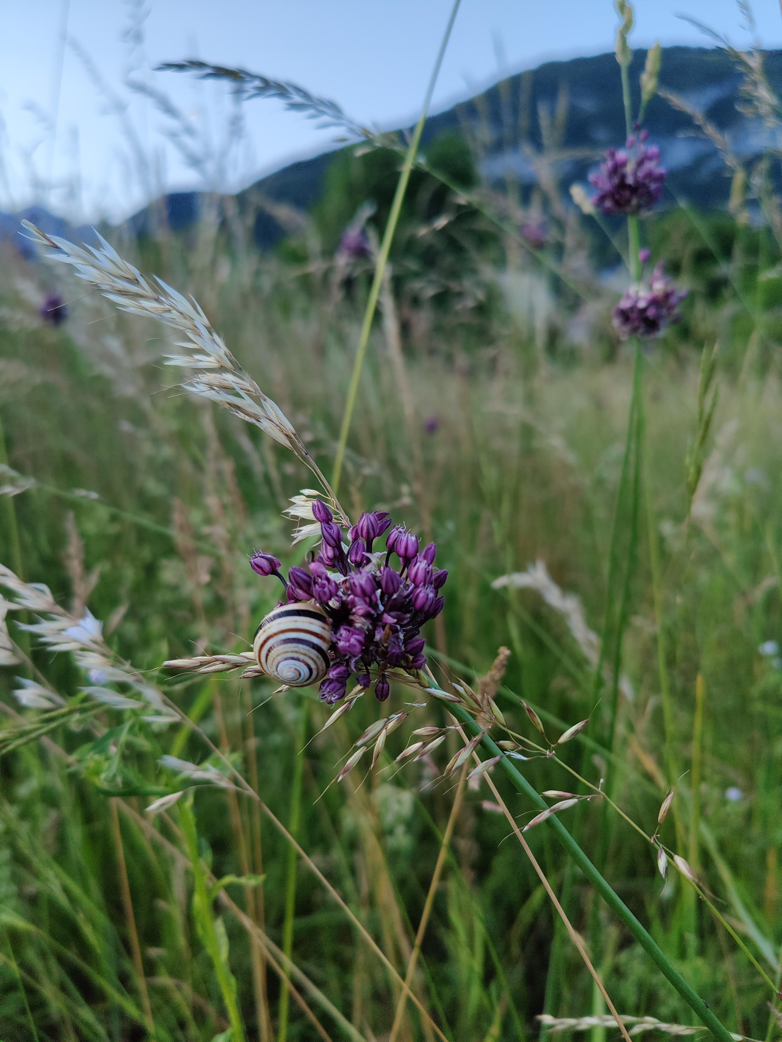 Slovenia. Фотограф и видеограф в Израиле Соня Скай