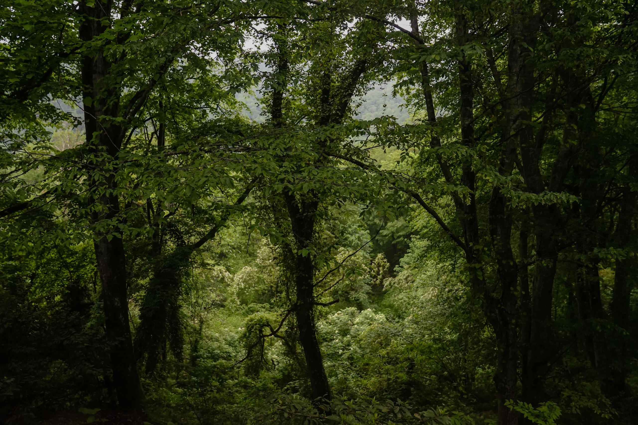 Отель. Photograph and videograph in Israel