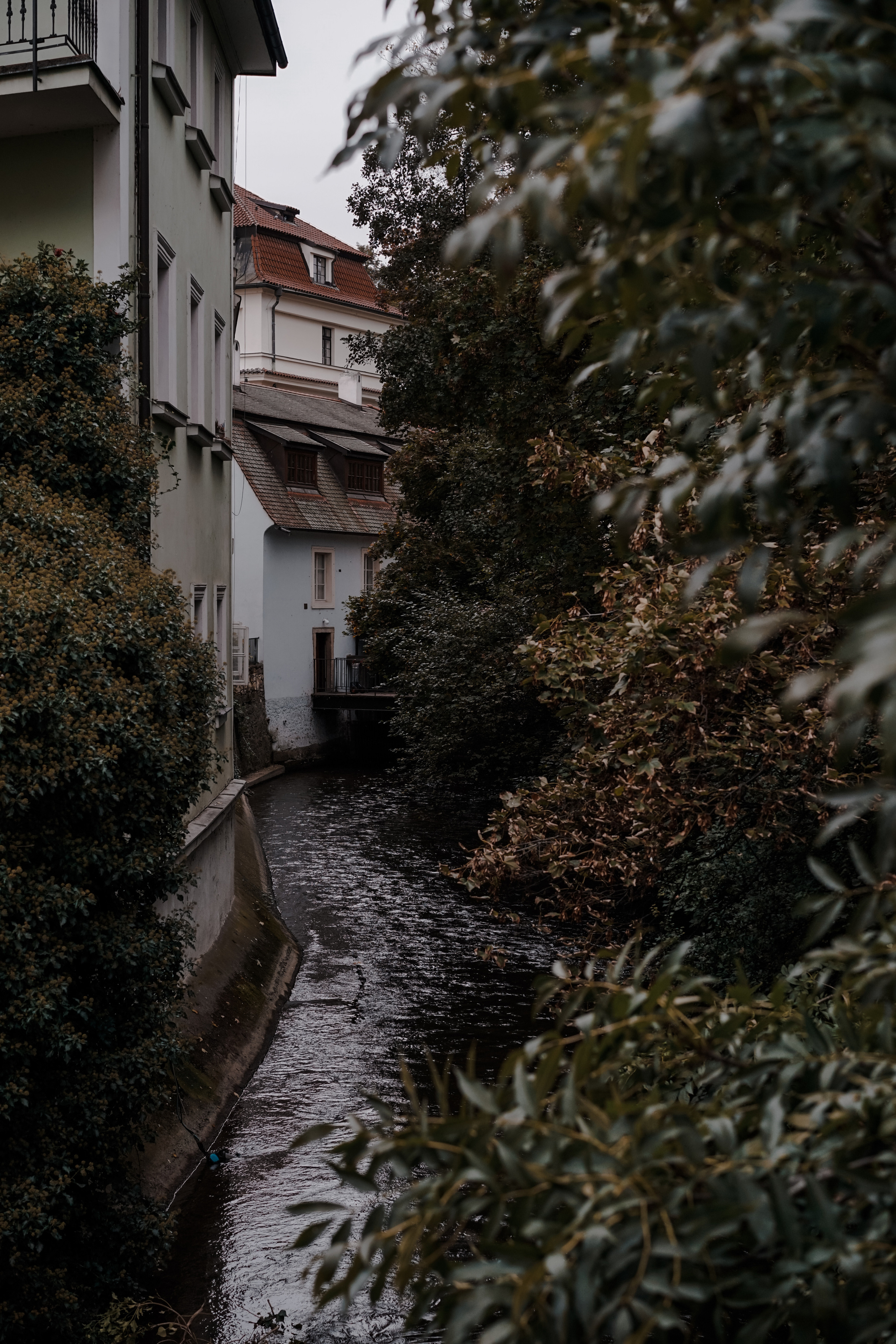 Czech. Фотограф и видеограф в Израиле Соня Скай