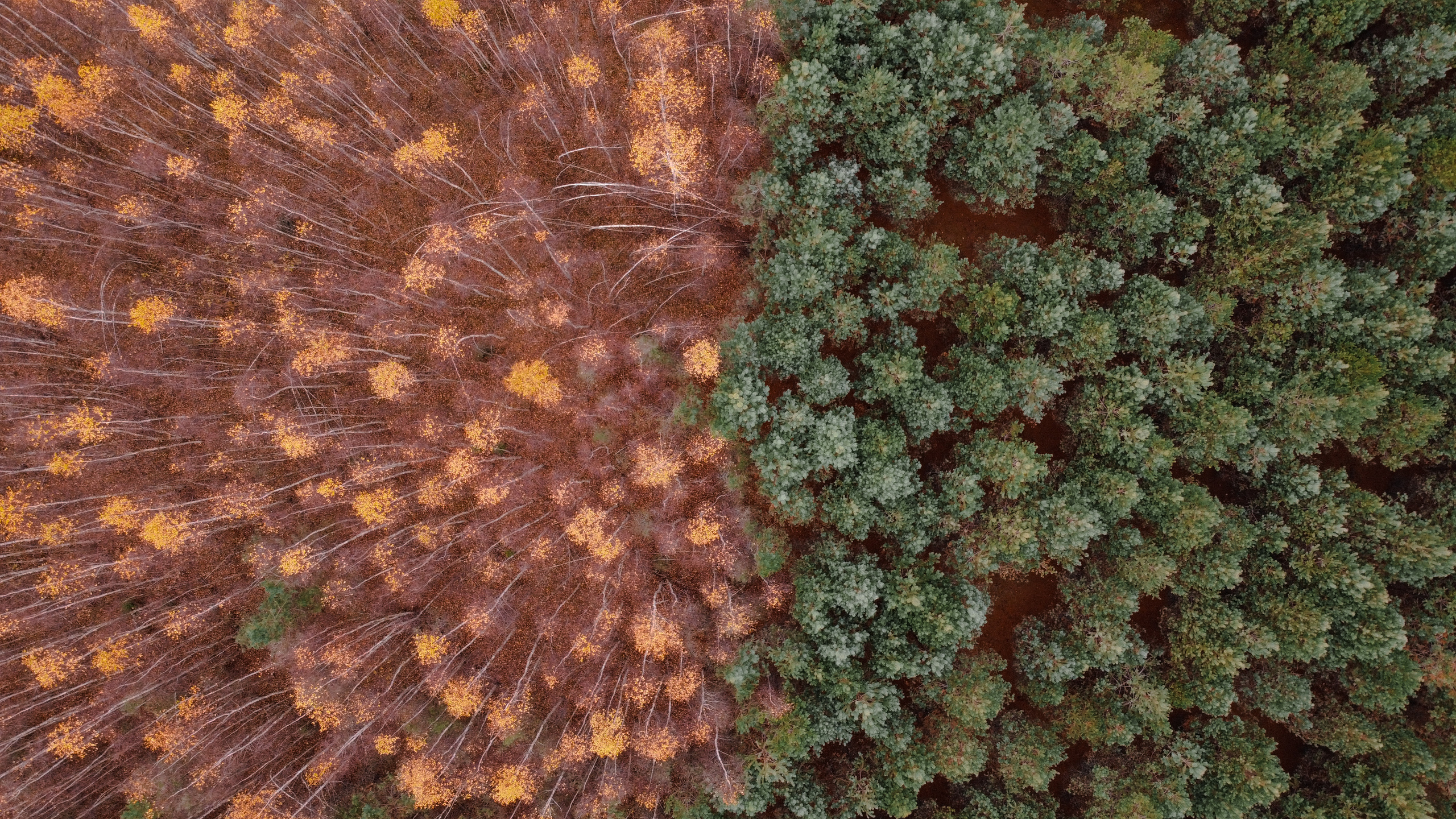 DJI mavic. Фотограф и видеограф в Израиле Соня Скай