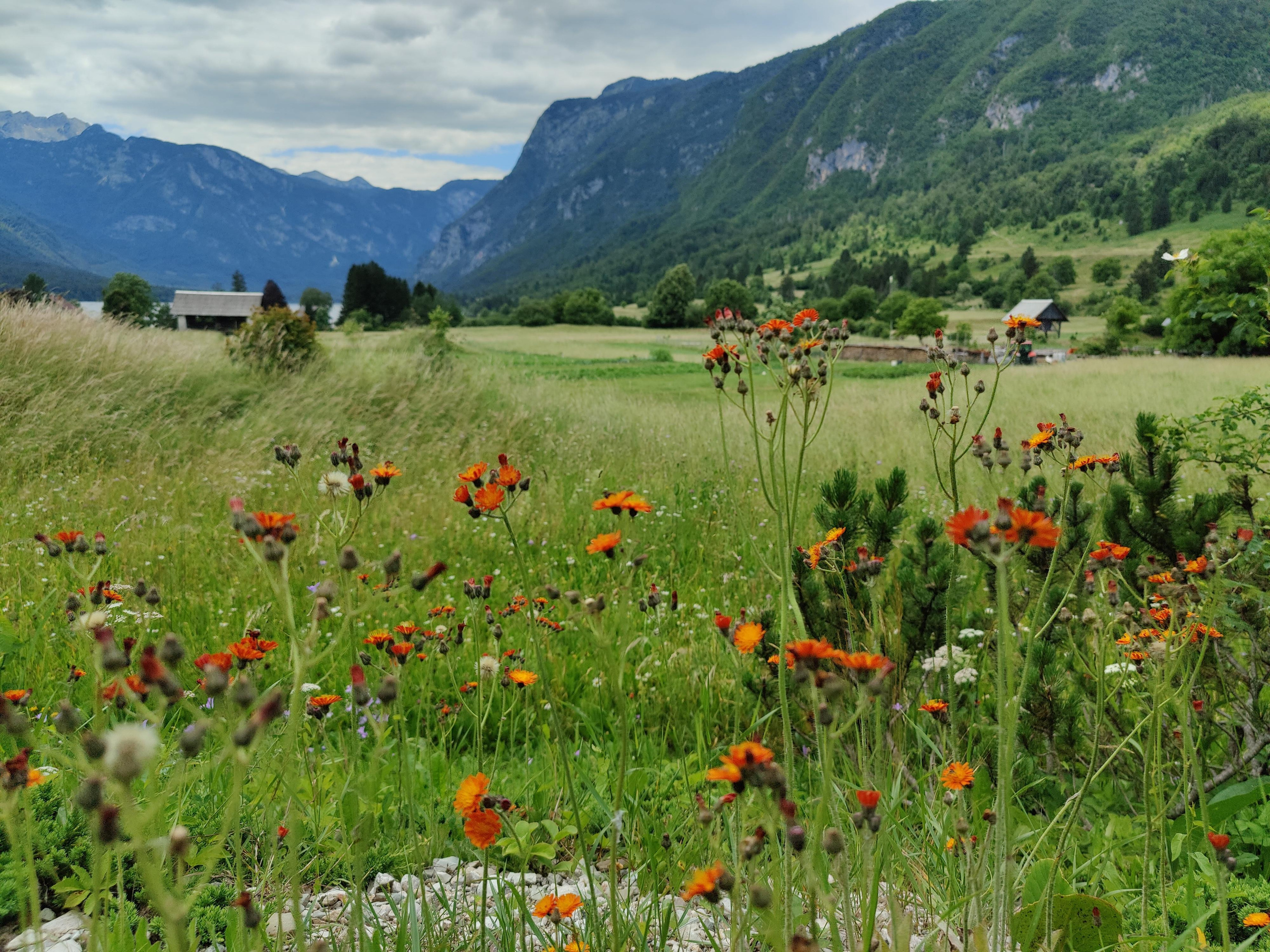 Slovenia. Фотограф и видеограф в Израиле Соня Скай