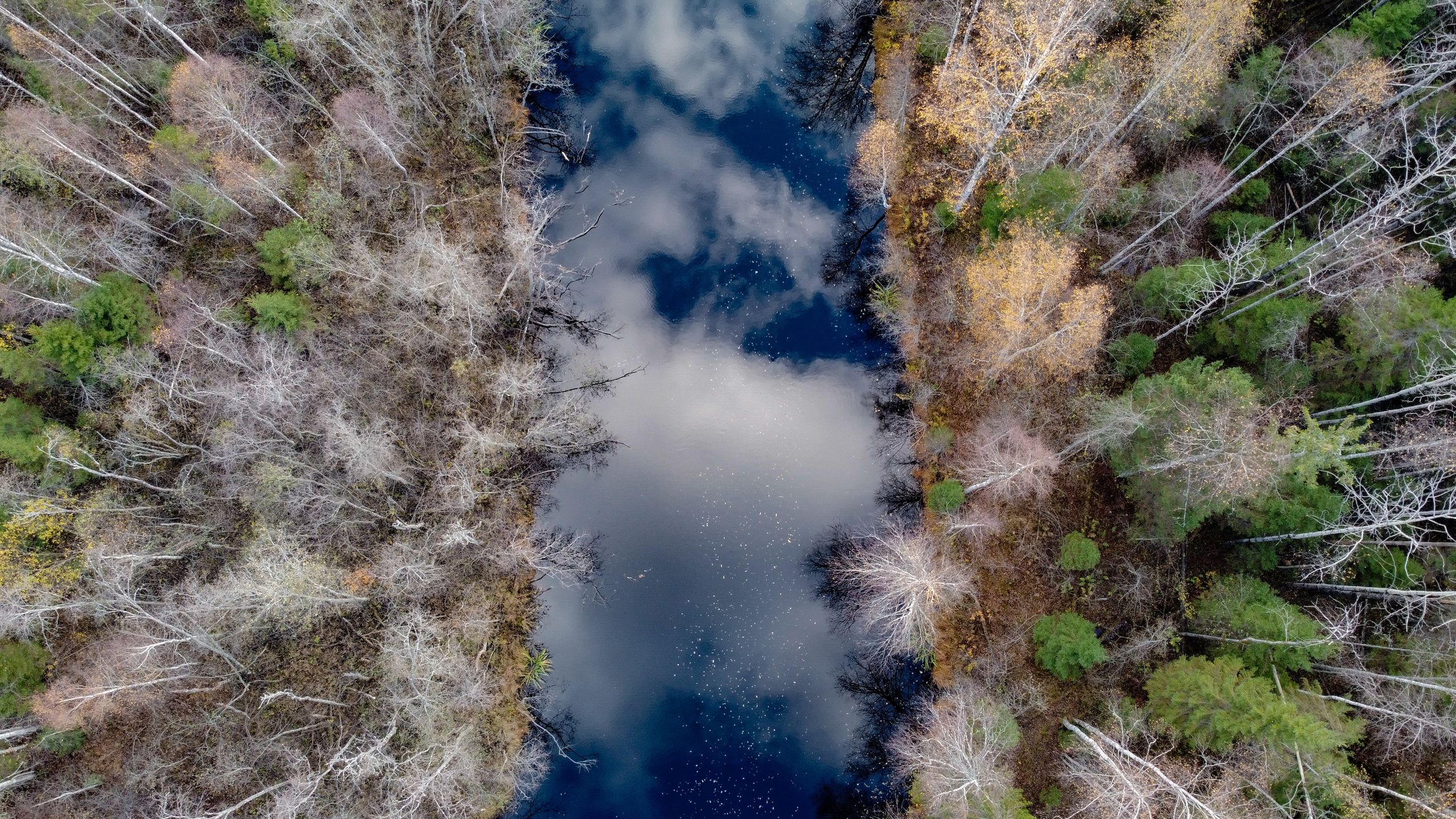 DJI mavic. Фотограф и видеограф в Израиле Соня Скай