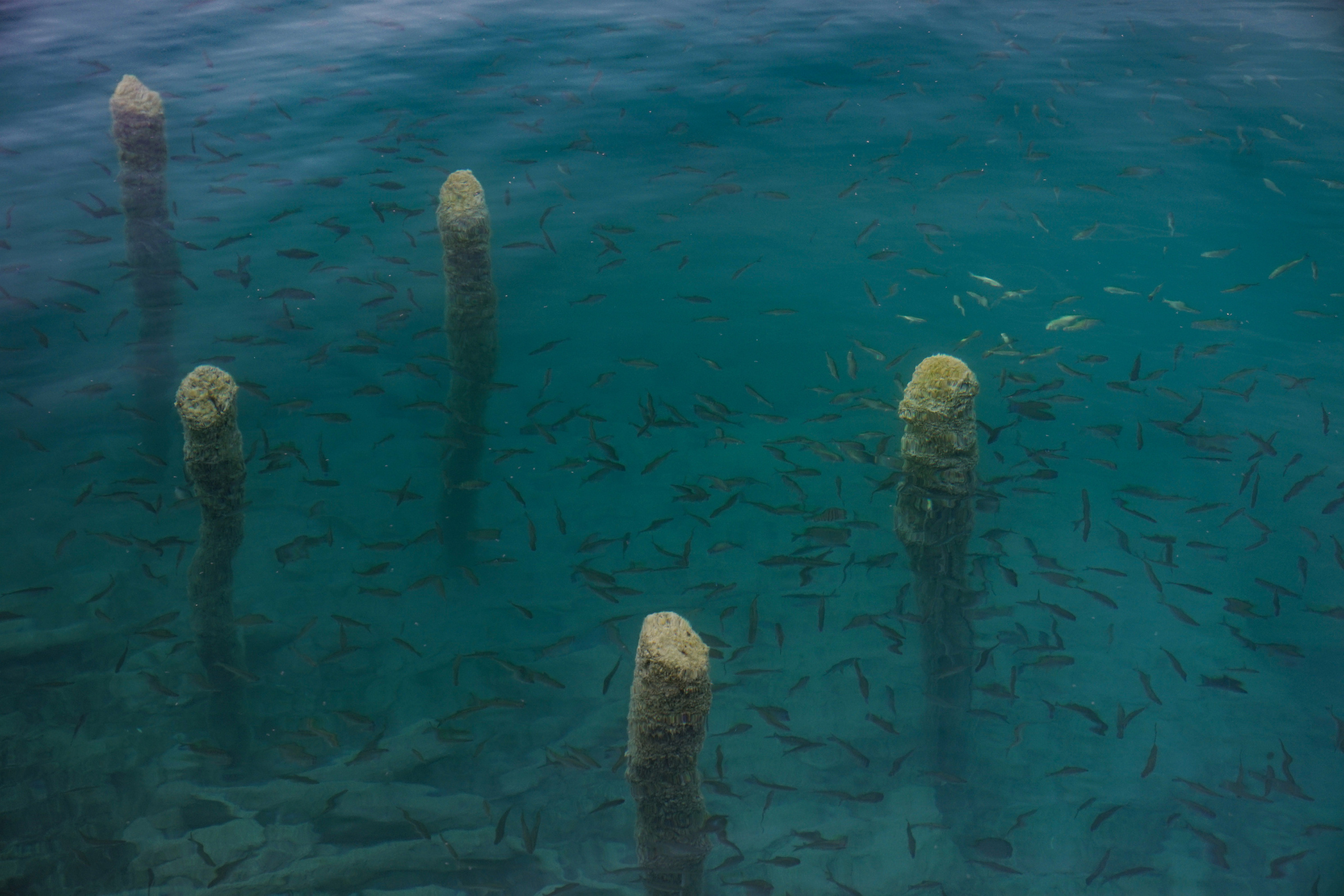 Slovenia. Фотограф и видеограф в Израиле Соня Скай