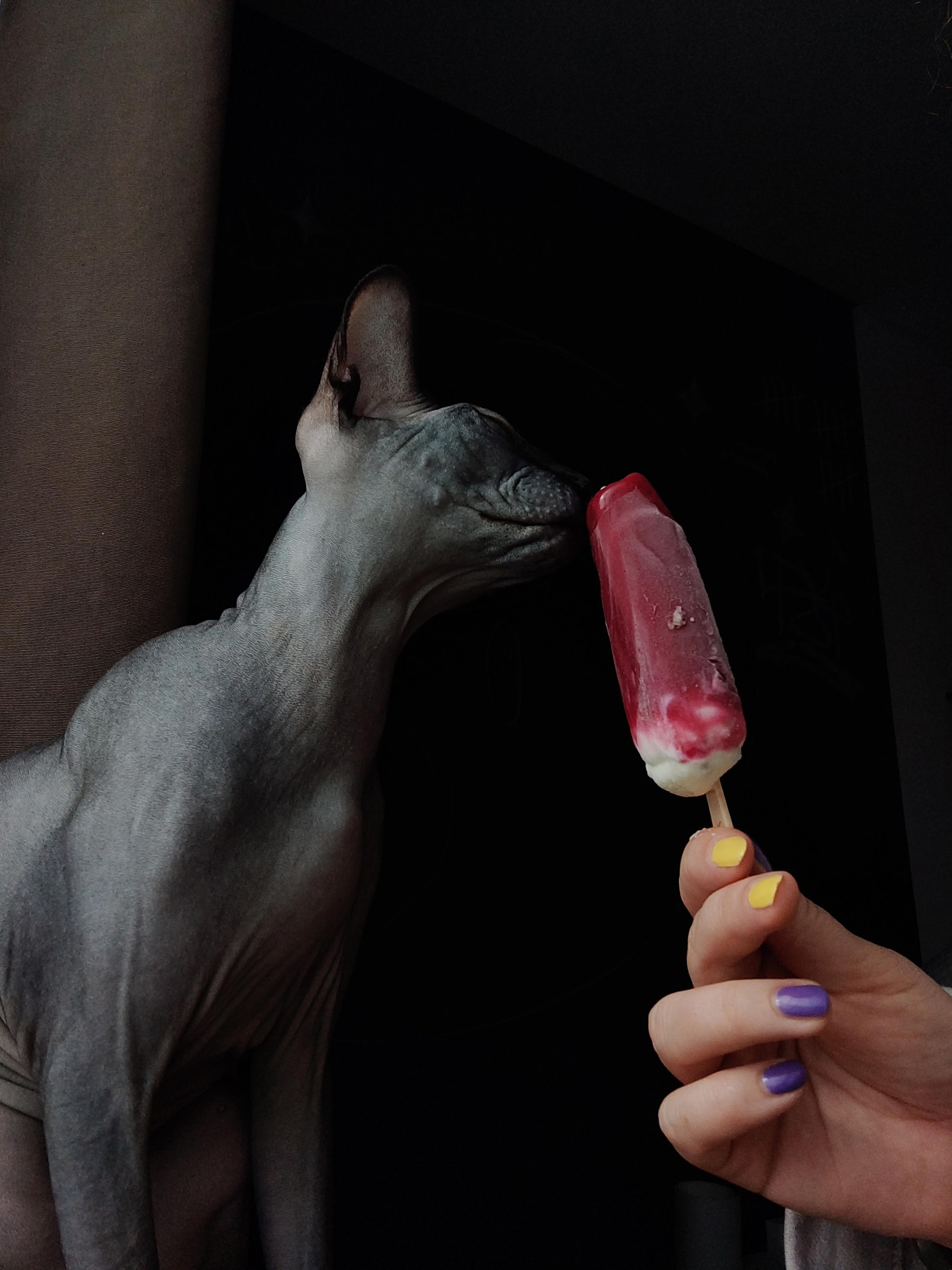 Контент фотограф. Фотограф и видеограф в Израиле Соня Скай