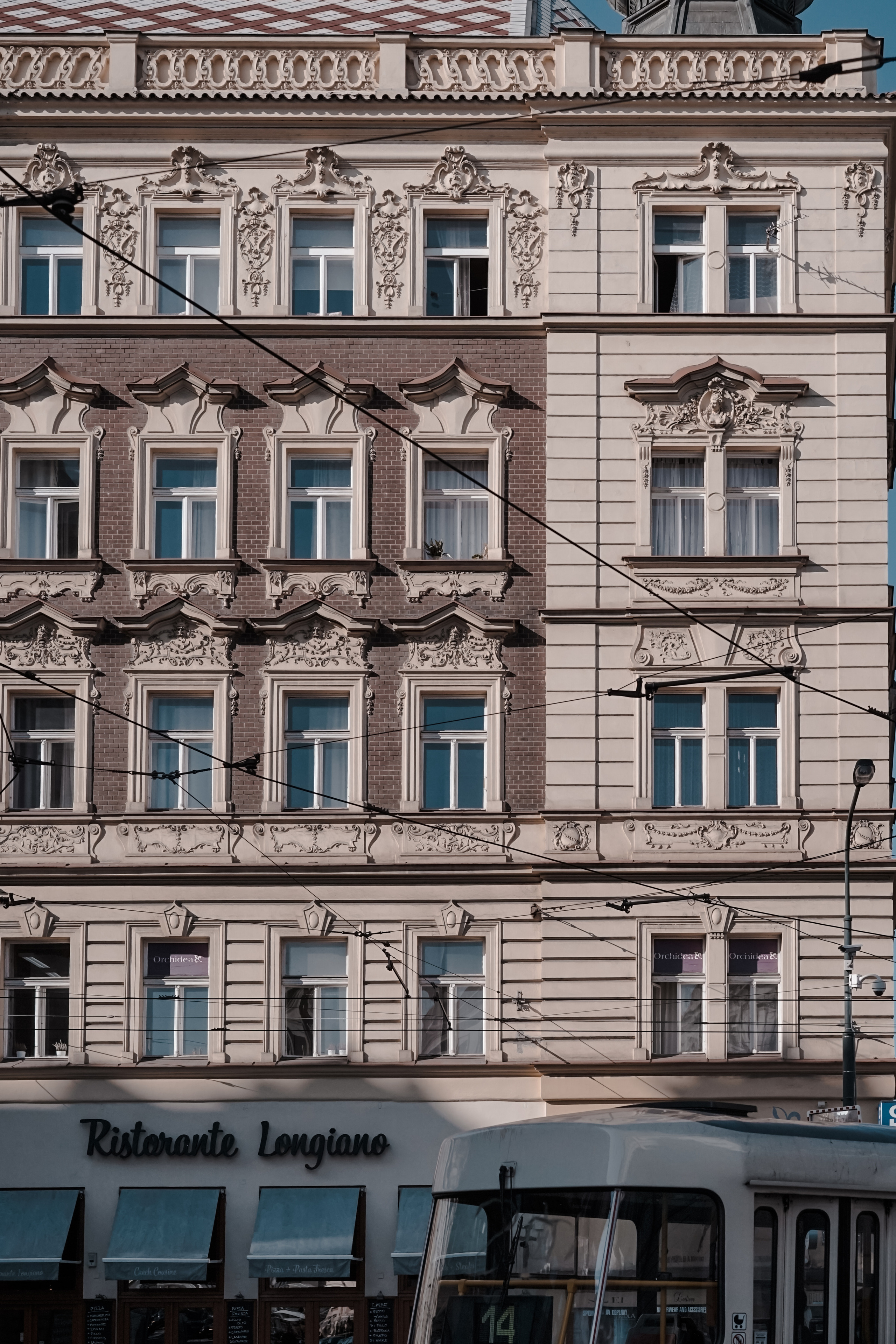 Czech. Фотограф и видеограф в Израиле Соня Скай