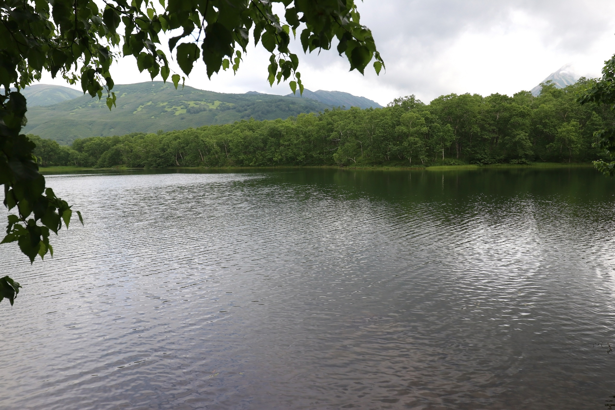 Камчатка и о. Парамушир. Июль 2024. Путешественник-фотограф из Санкт-Петербурга Татьяна Свистулина