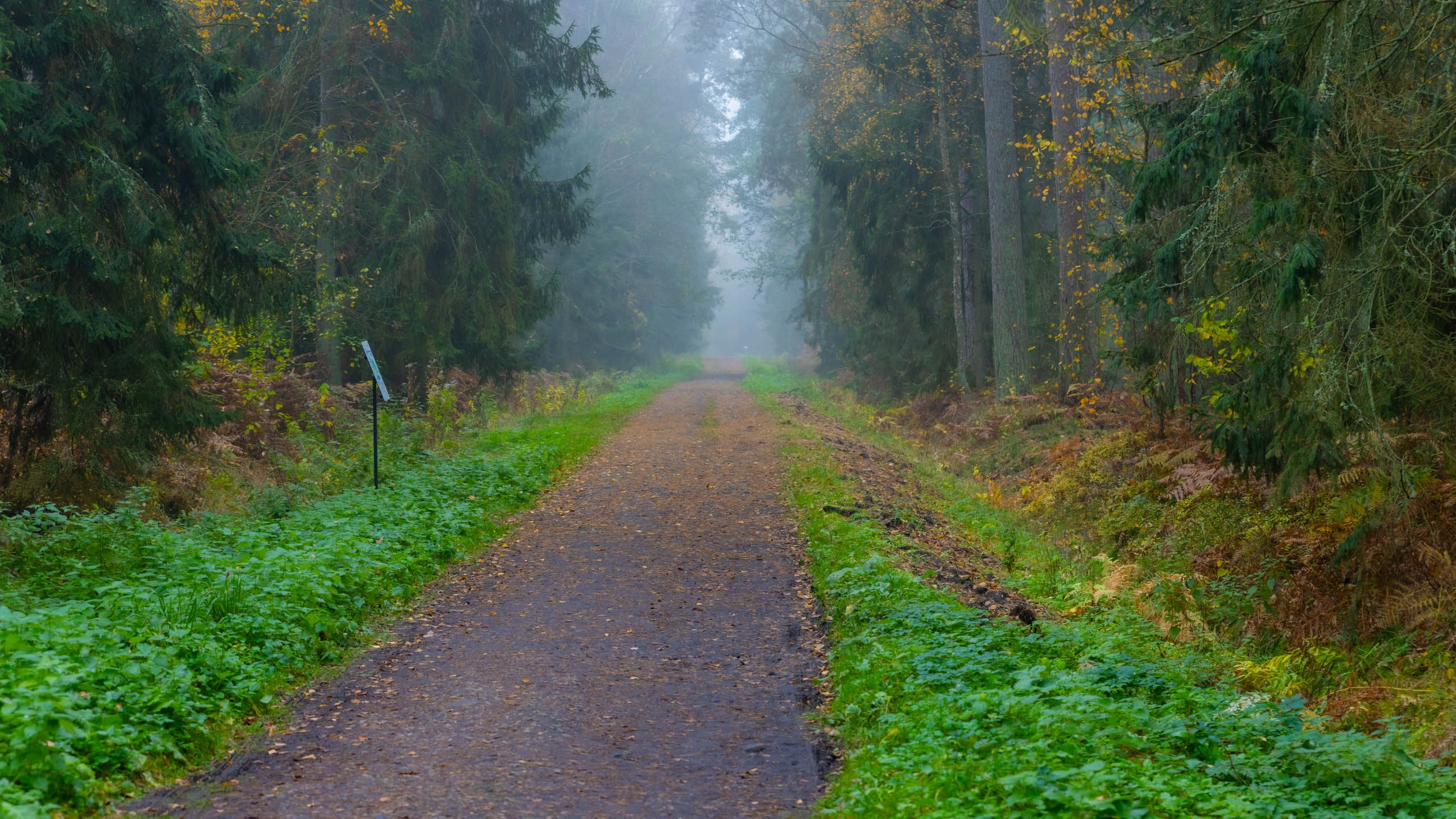 2024 10 Зеленоградск, Светлогорск, Куршская коса. Фотографии