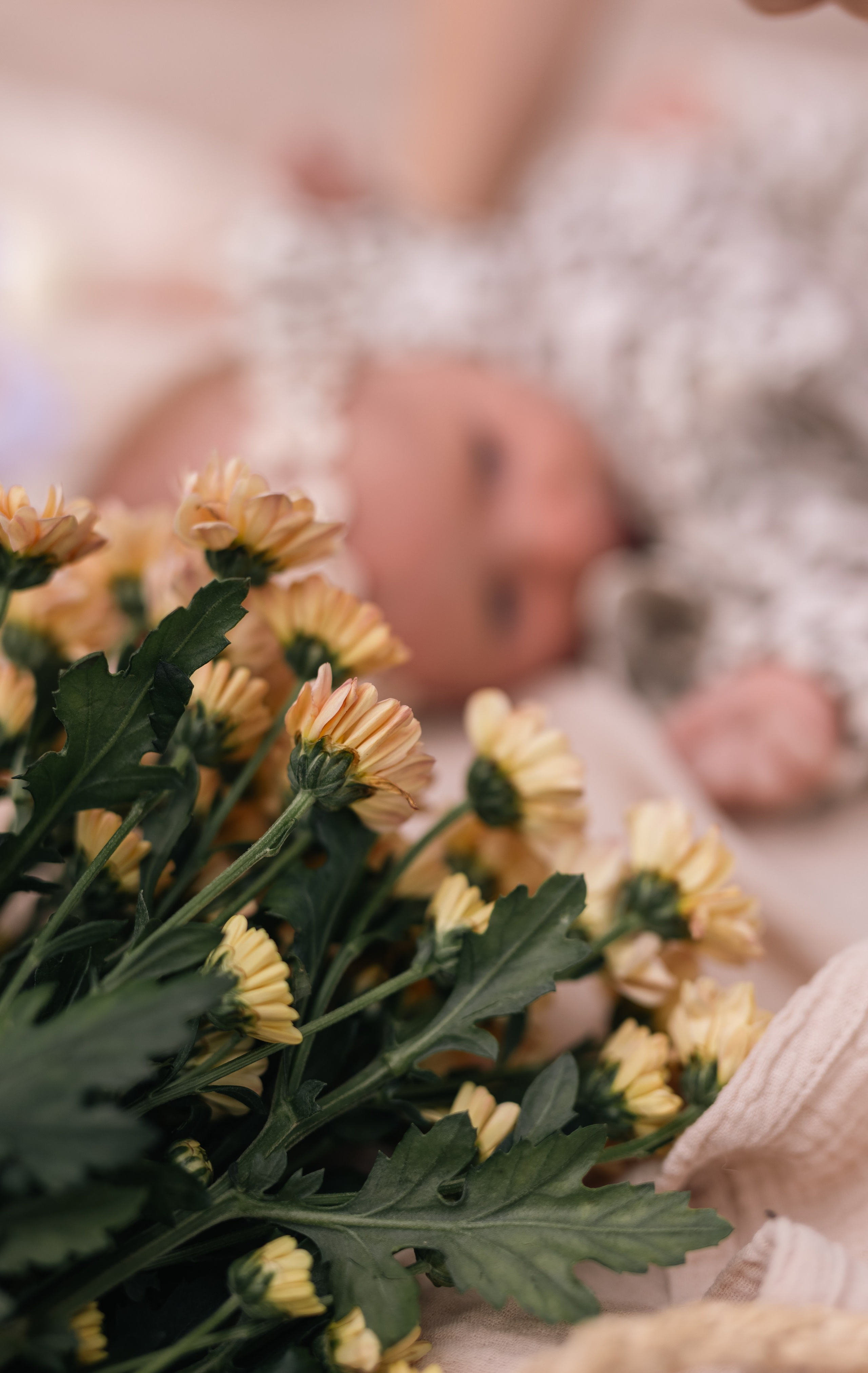 Кирилл, Люба и Виктория. Фотограф в Нижнем Новгороде, Дзержинске Олеся Хозяева