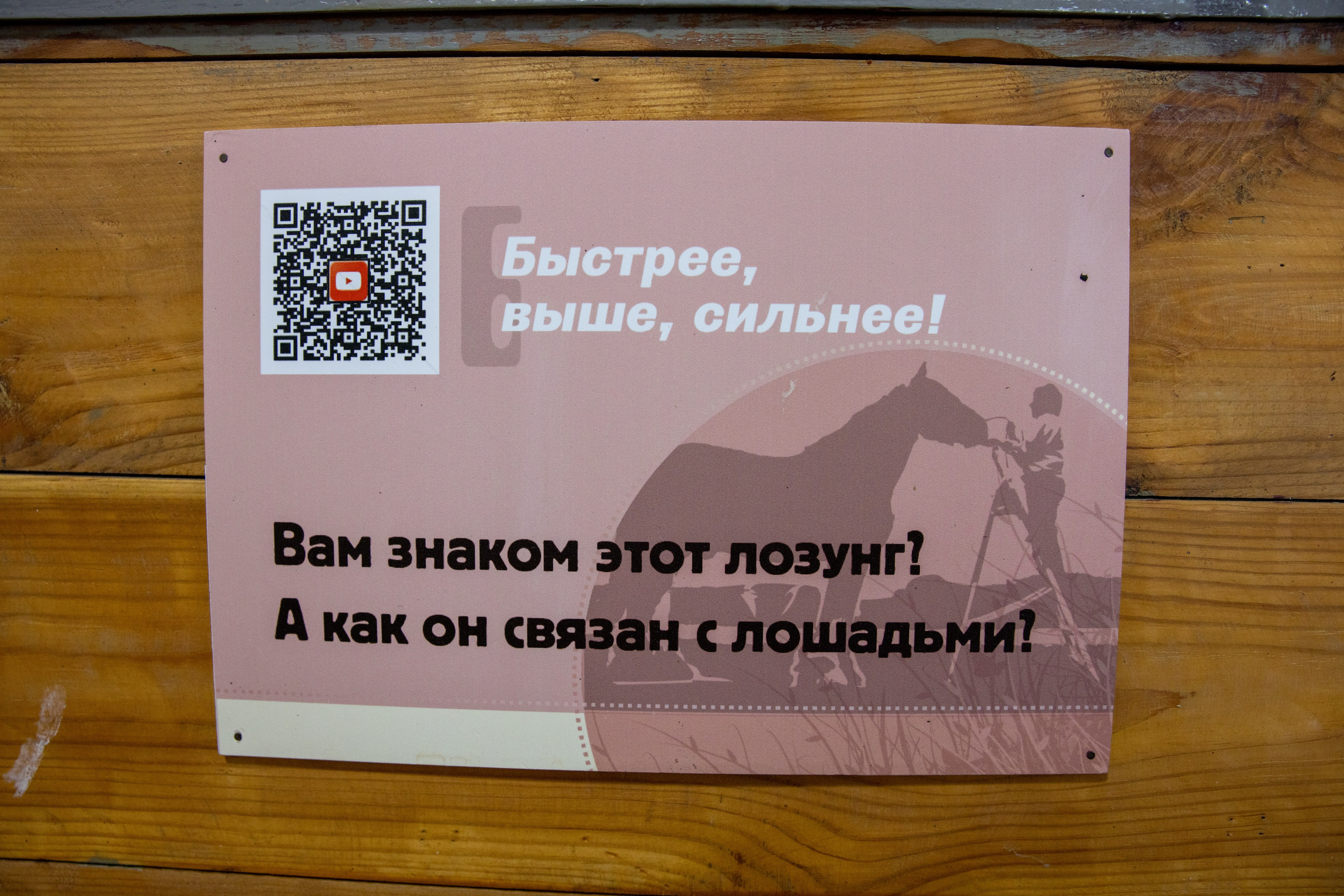 Поездка на поле Кулеково. Фотограф в Туле Крупский АнДРей. Фотостудия «КАДР71» в Туле