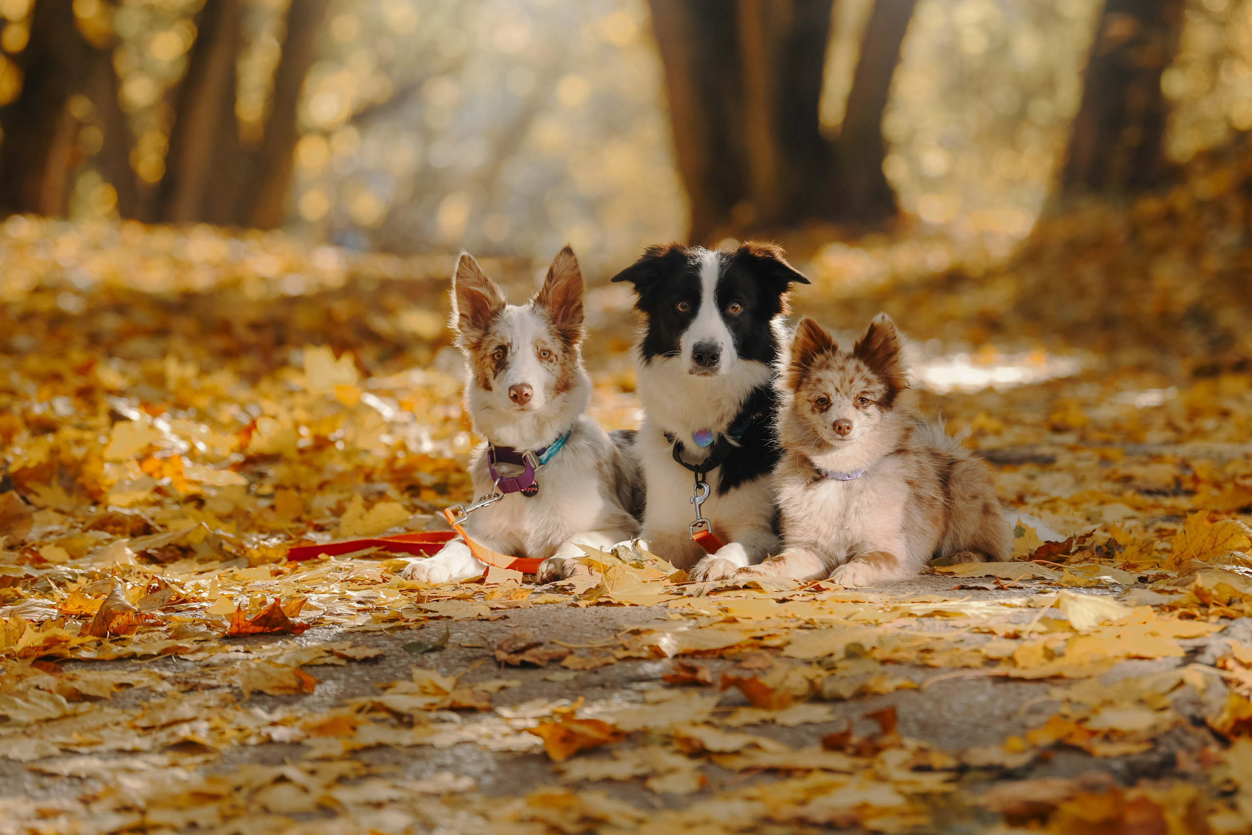 Художественная съёмка