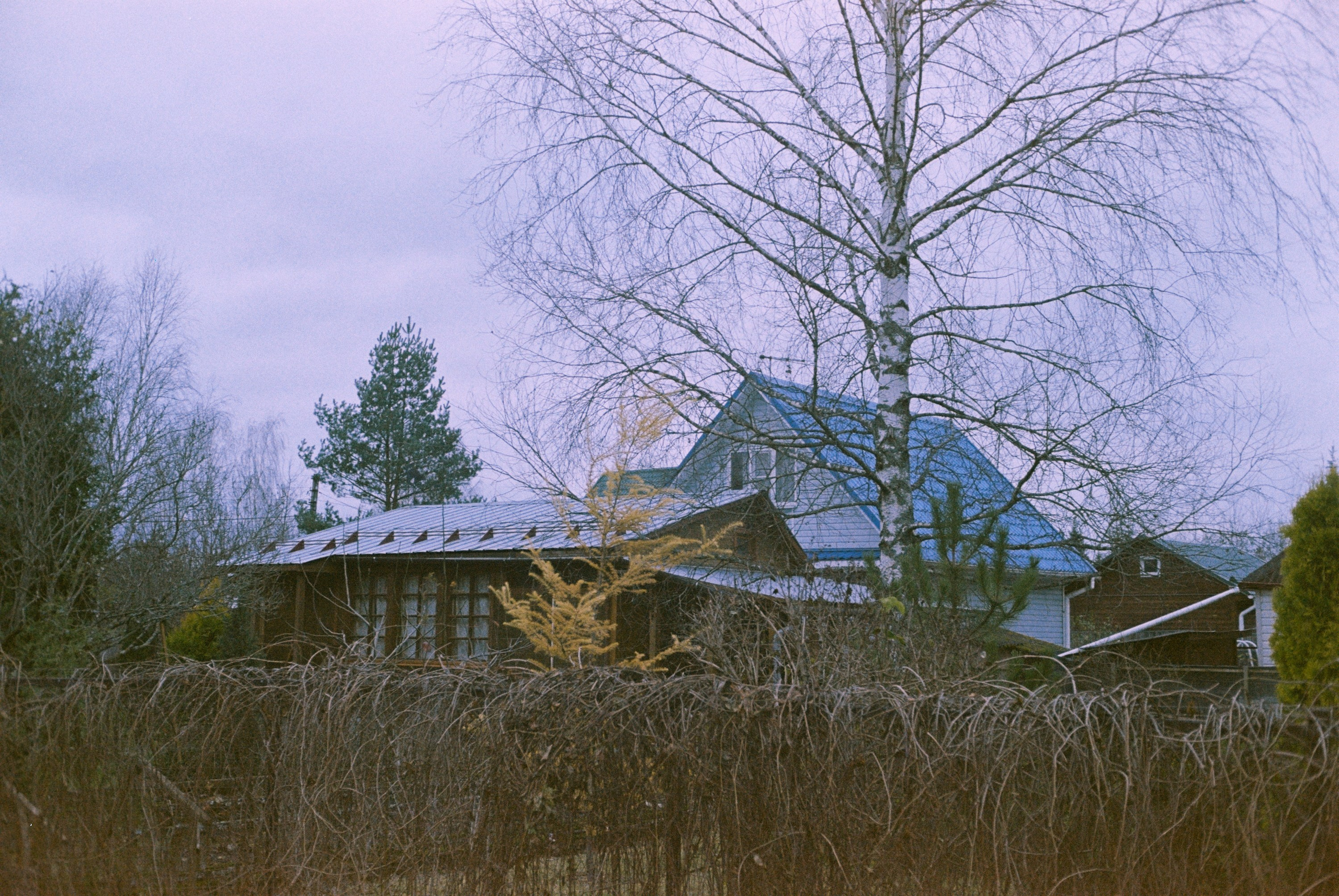 Minolta Hi-Matic 7sII / Kodak Color Plus 200 (просрочка)