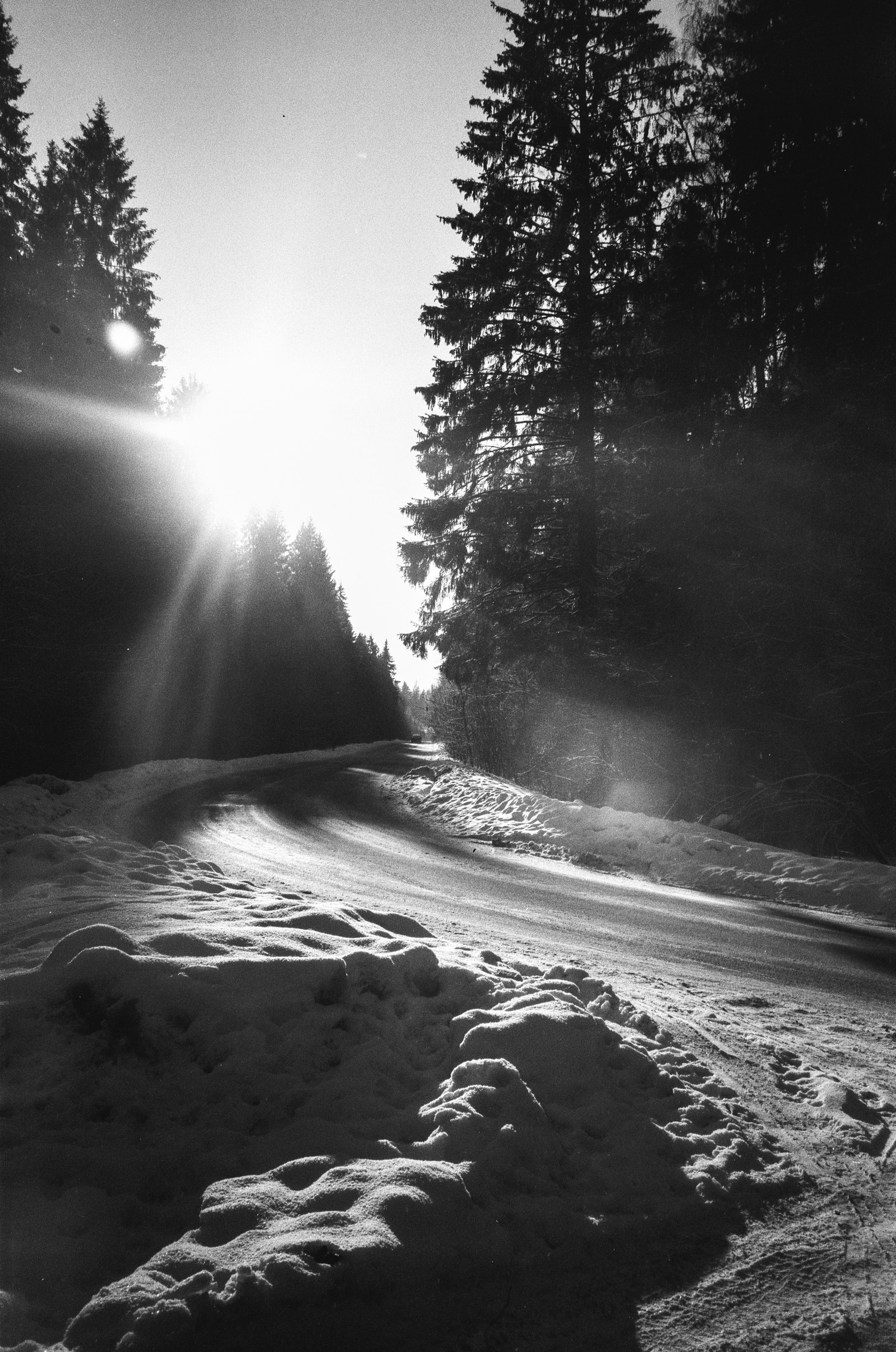 Nikon Action Touch (L35AW) / SFL T-25 / Давыдовское