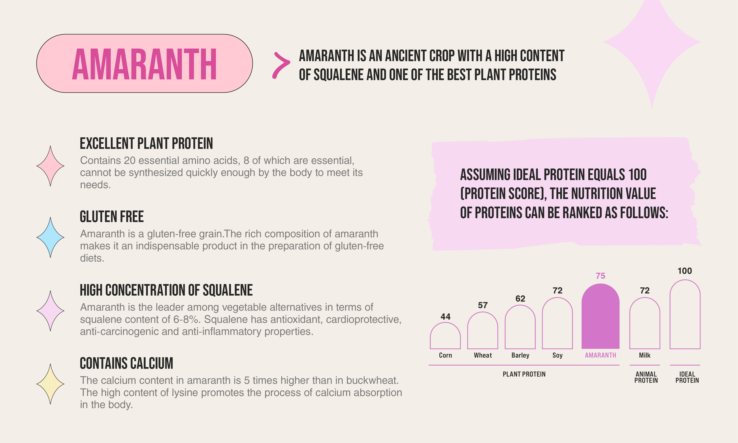 AMARANCHO. Arina is a creative Graphic Designer