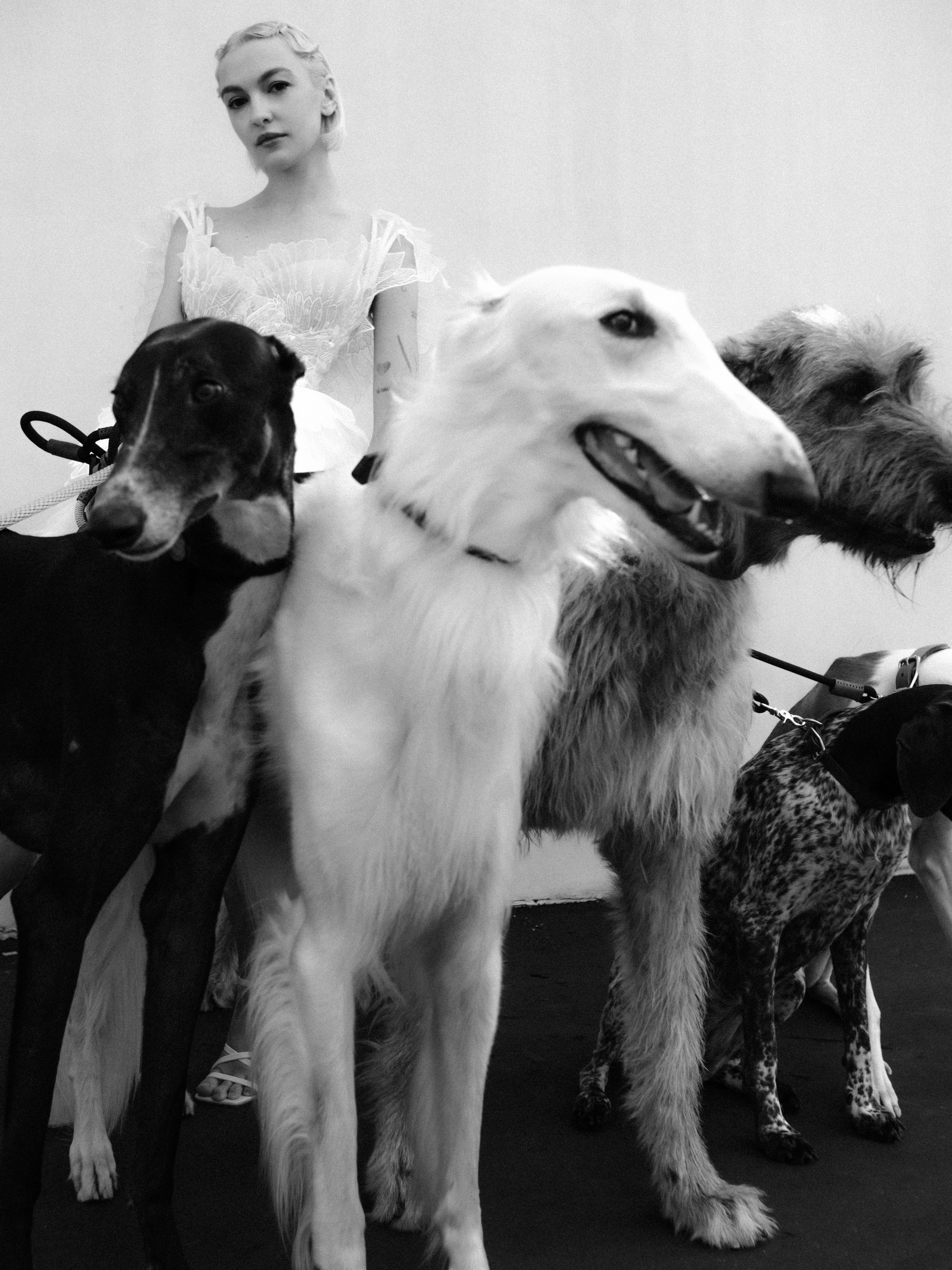 Dogbar. Dariaegudina.ru