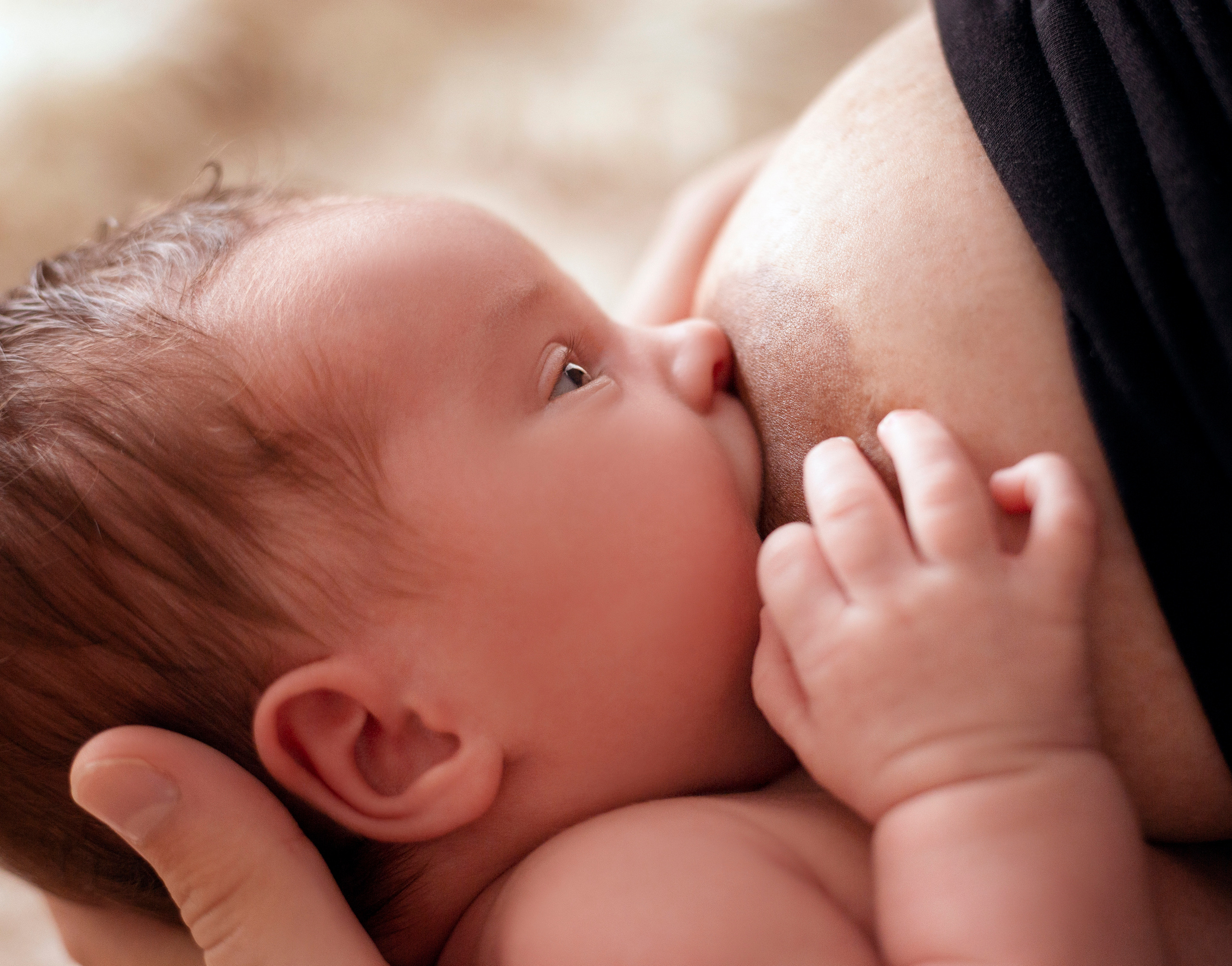 Newborn lifestyle. Фотограф беременных и новорождённых в Краснодаре