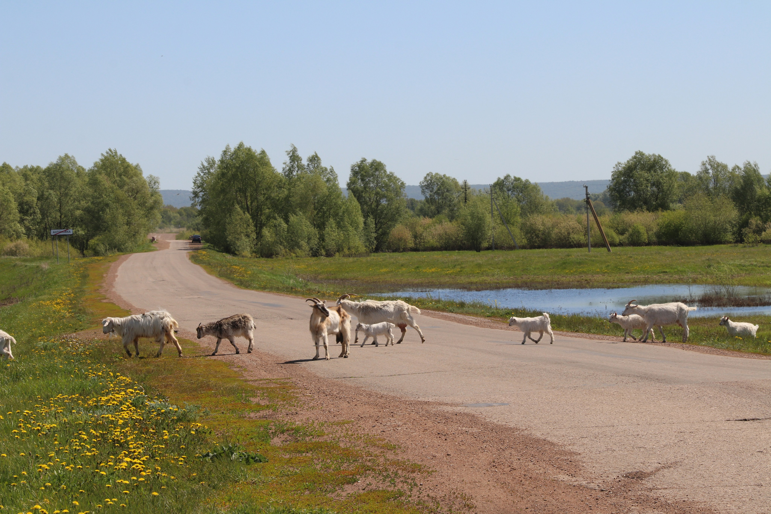 "Конкуренты" на дороге