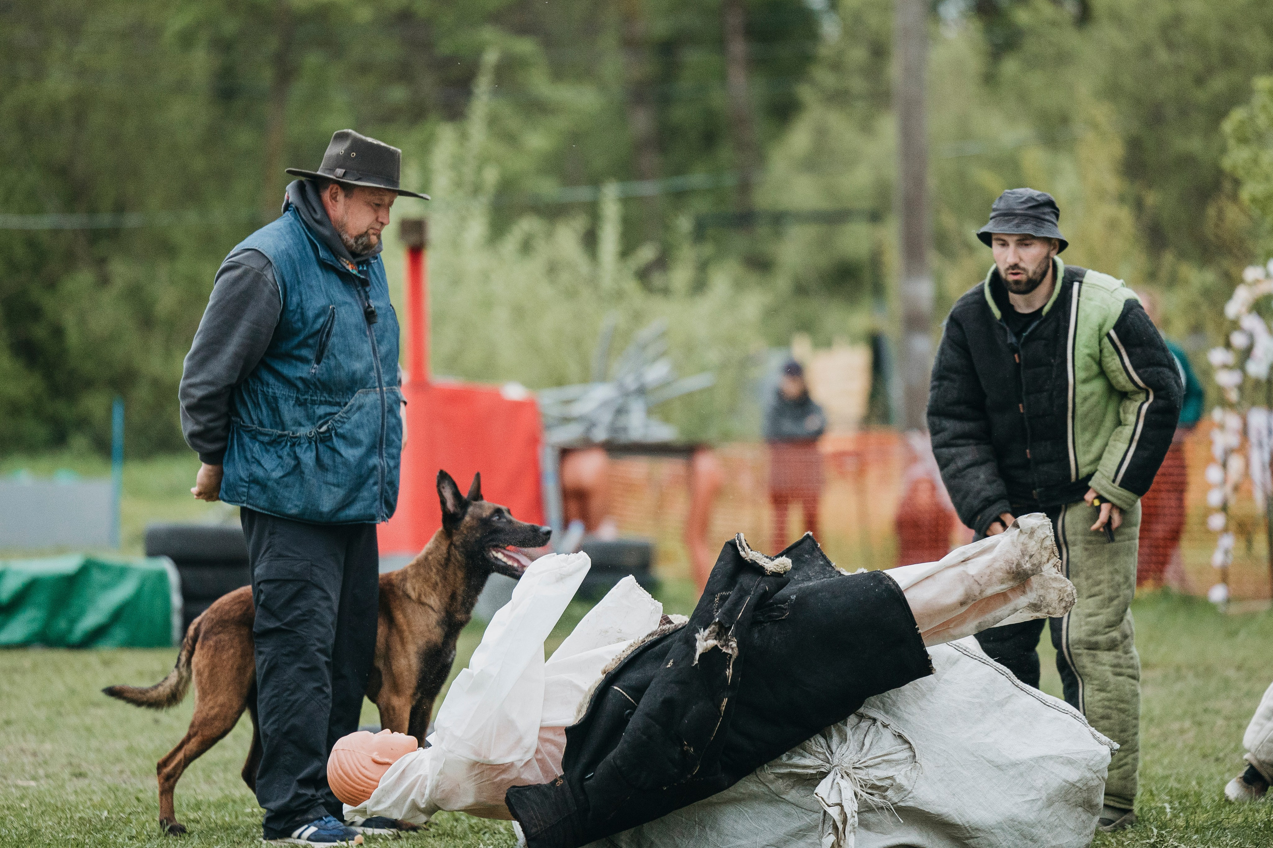 26.05.25 г. Пушкин квалификационные соревнования. Фотограф-анималист Анна Маринич