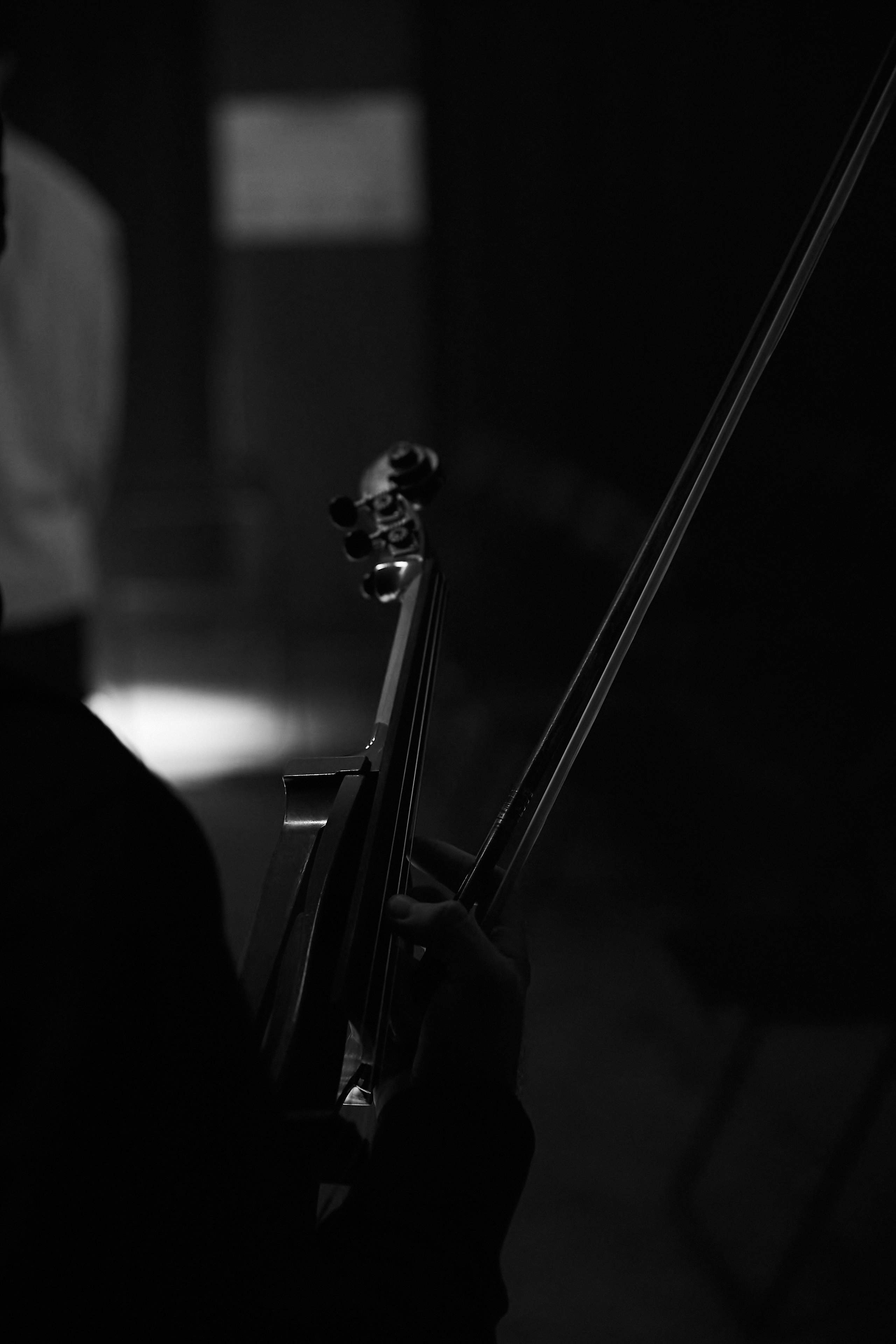 Кочка. Фотограф Сергей Гончаренко — Краснодар, Донецк, Ростов, Сочи